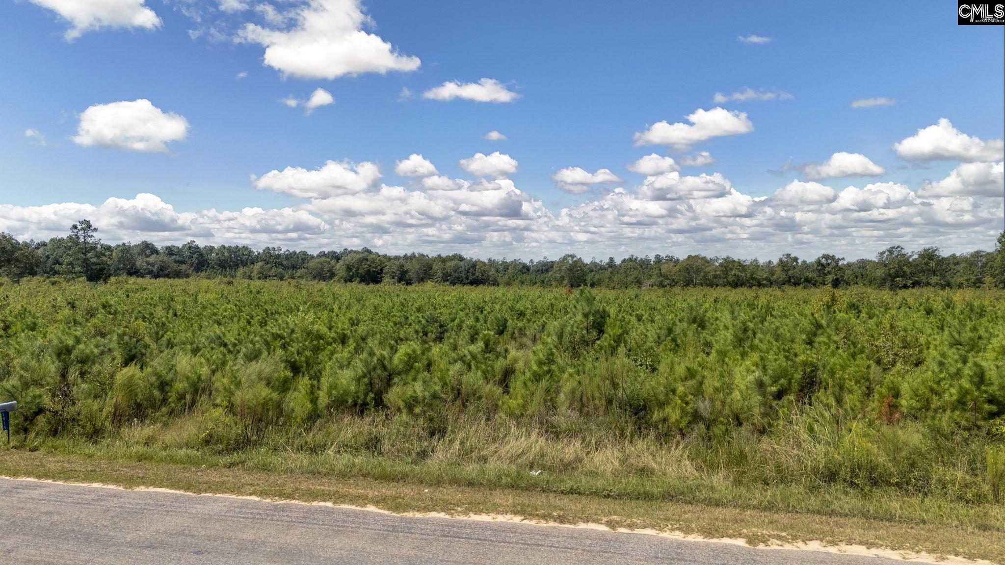 Prairie Court, North, South Carolina image 2