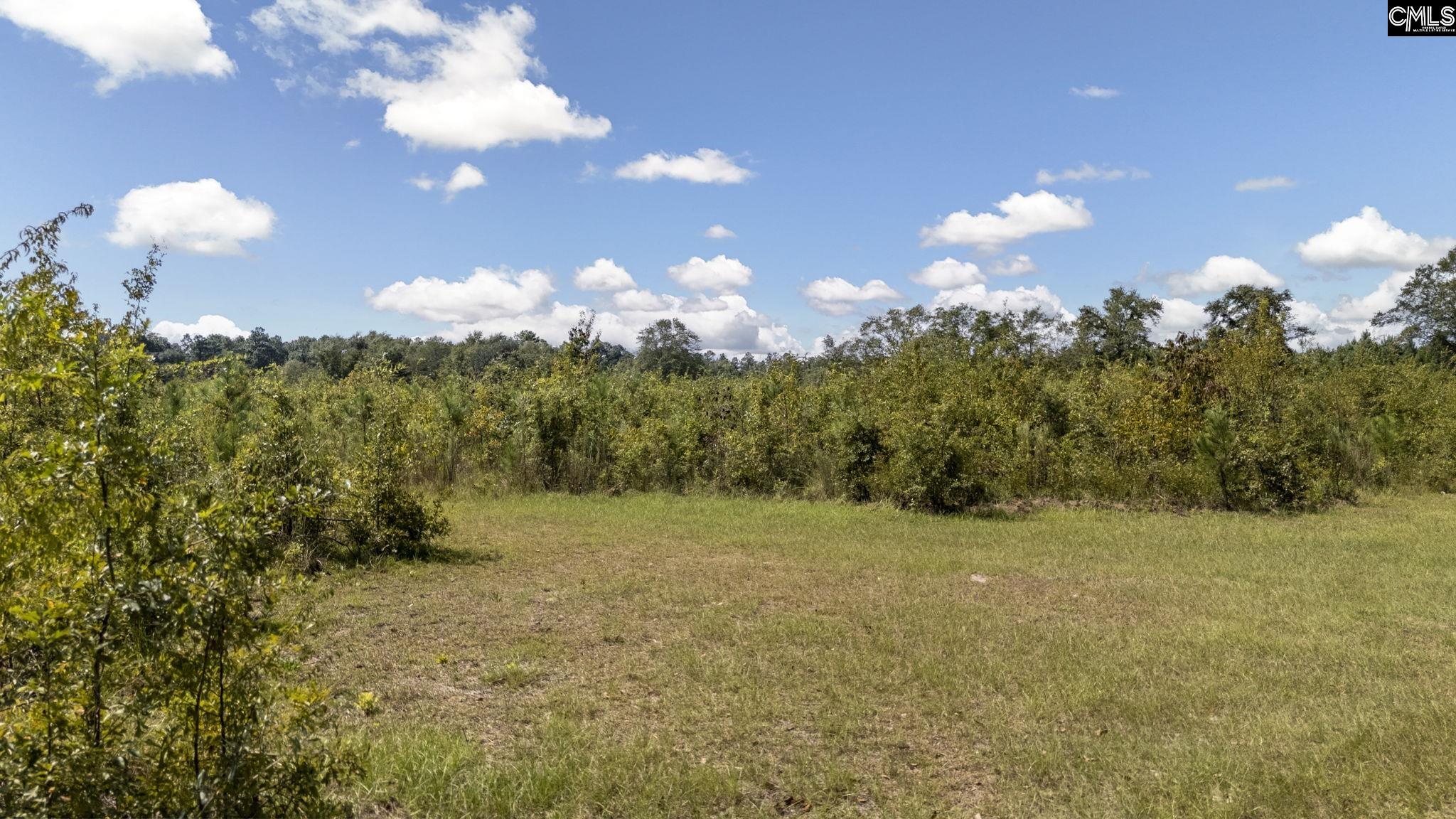 Prairie Court, North, South Carolina image 13