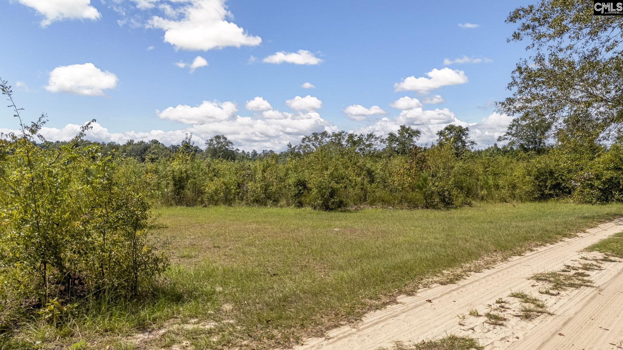 Prairie Court, North, South Carolina image 14