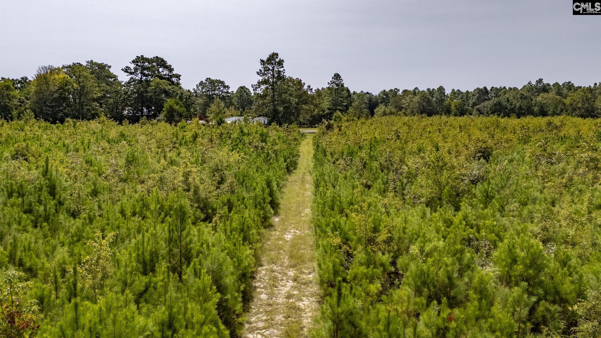 Prairie Court, North, South Carolina image 9