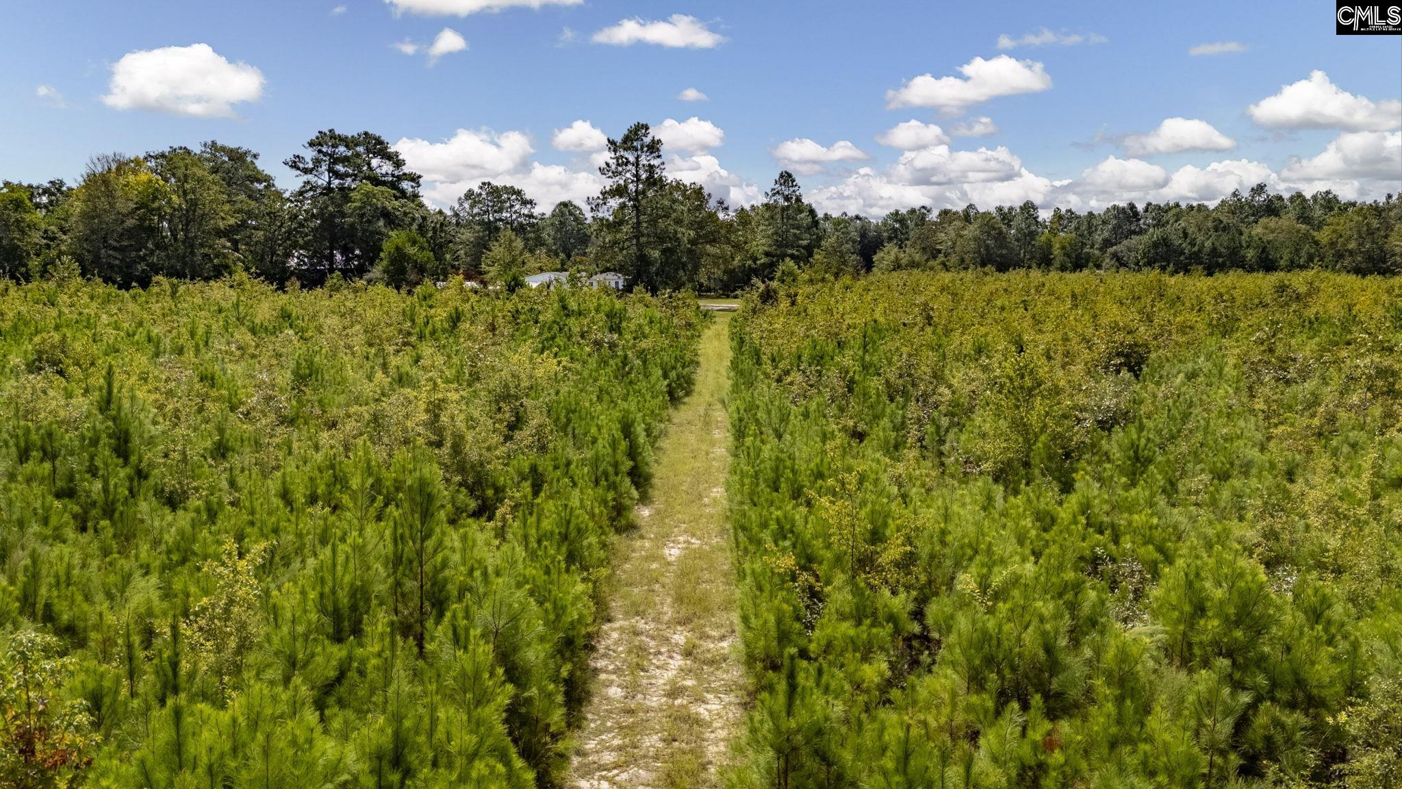 Prairie Court, North, South Carolina image 10
