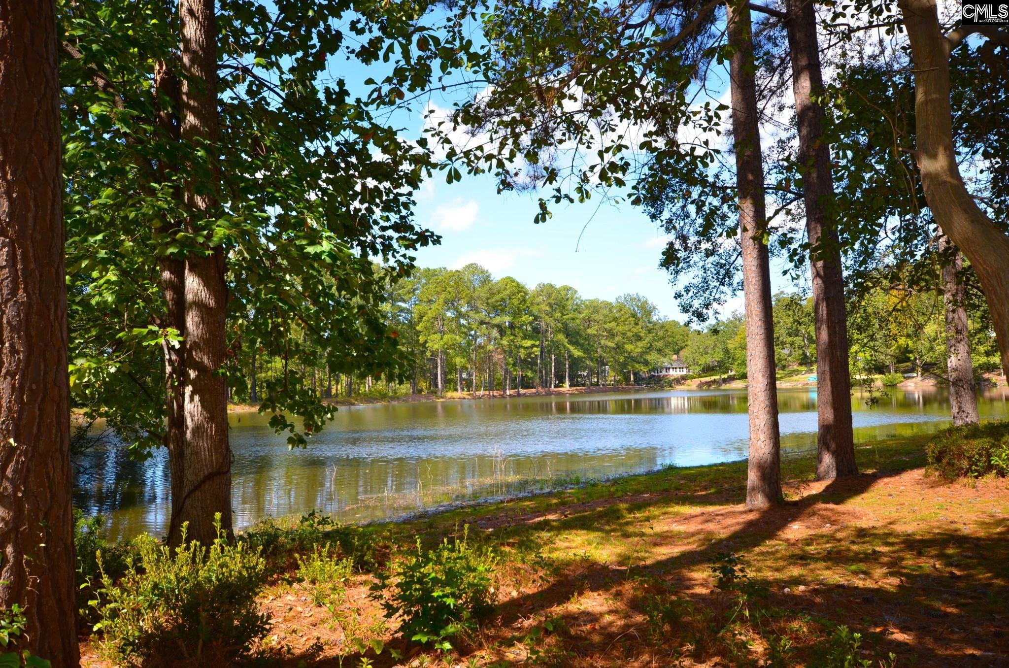 309 S Stonehedge Drive Columbia, SC 29210