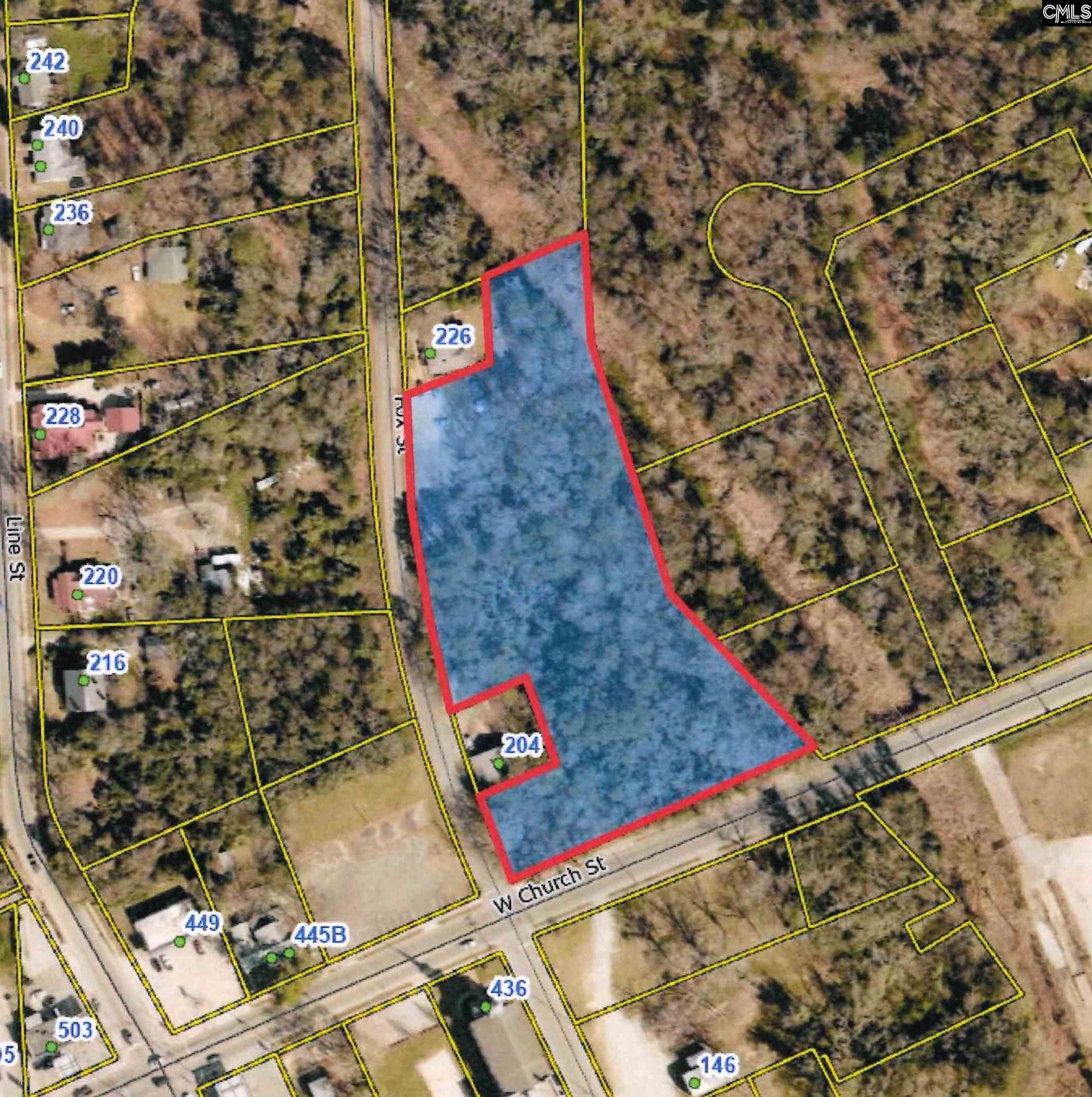 201 Fox Street, Batesburg, South Carolina image 1