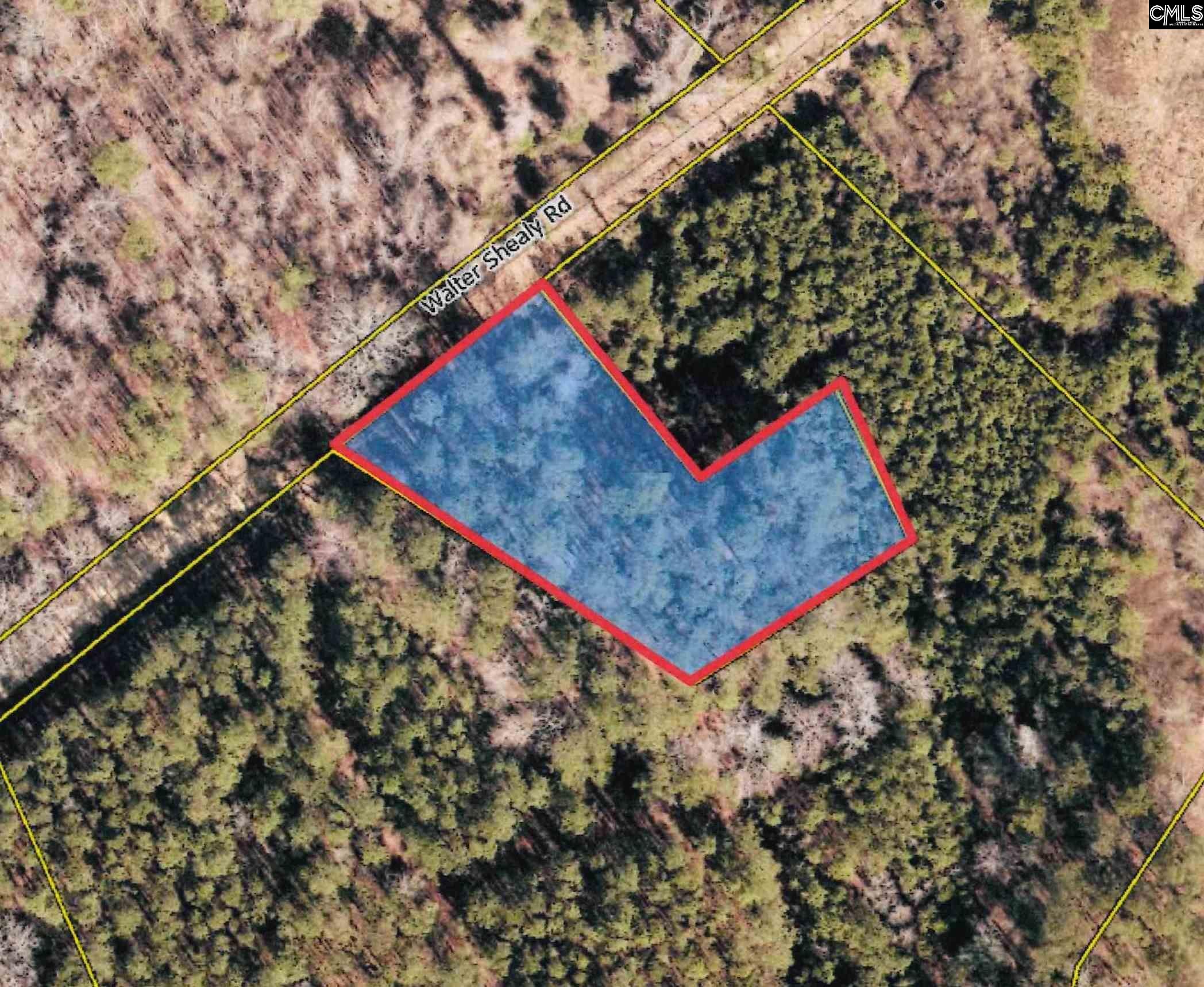 Walter Shealy Road, Leesville, South Carolina image 1