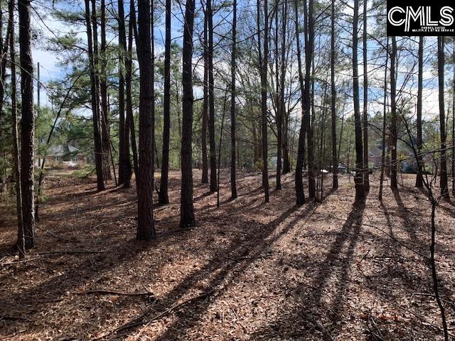 E/s Pine Grove Road Blythewood, SC 29016