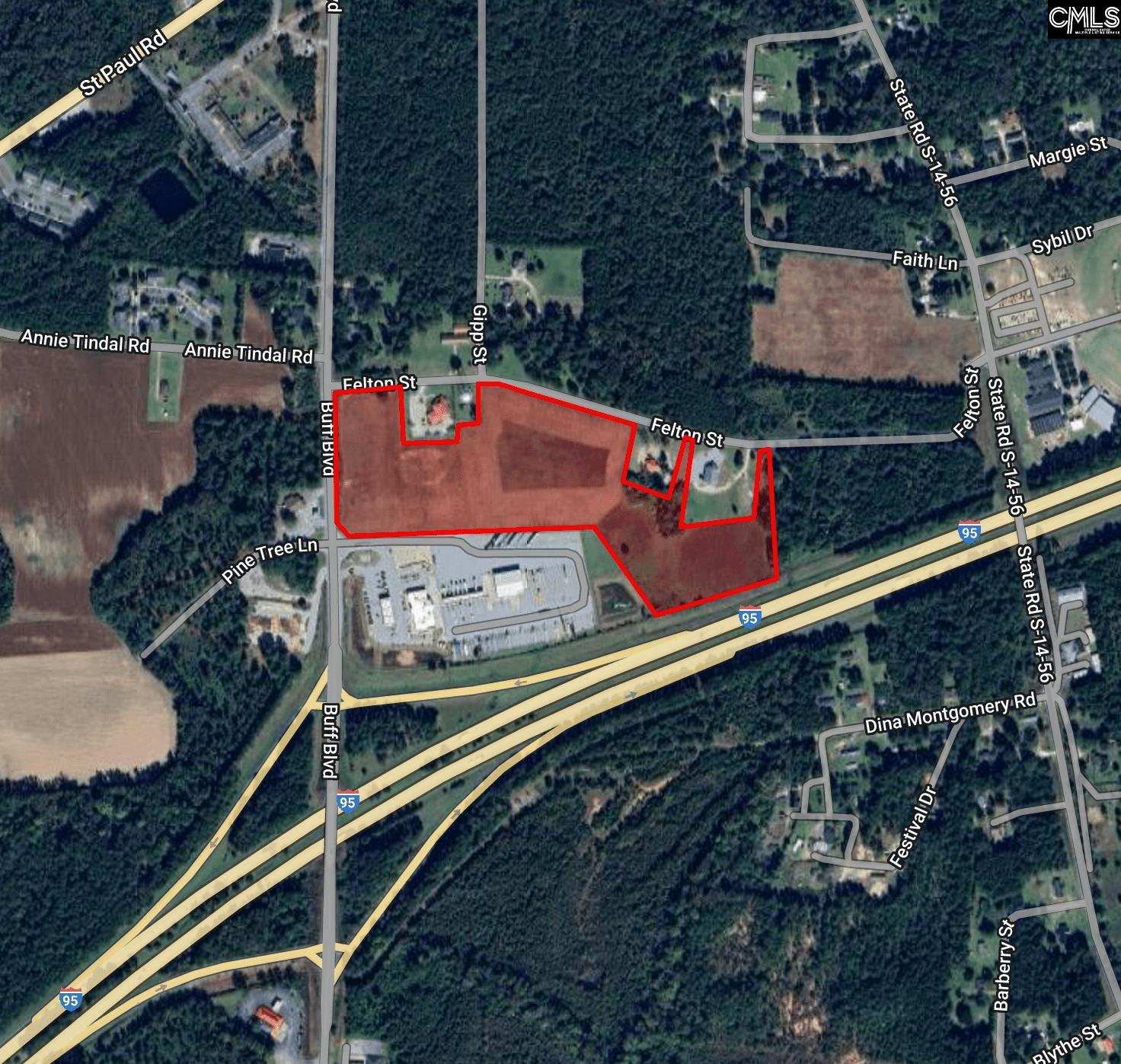 00 Buff, Summerton, South Carolina image 2