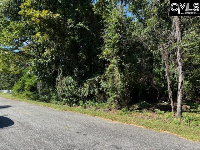 N S Weston Road Hopkins, SC 29061