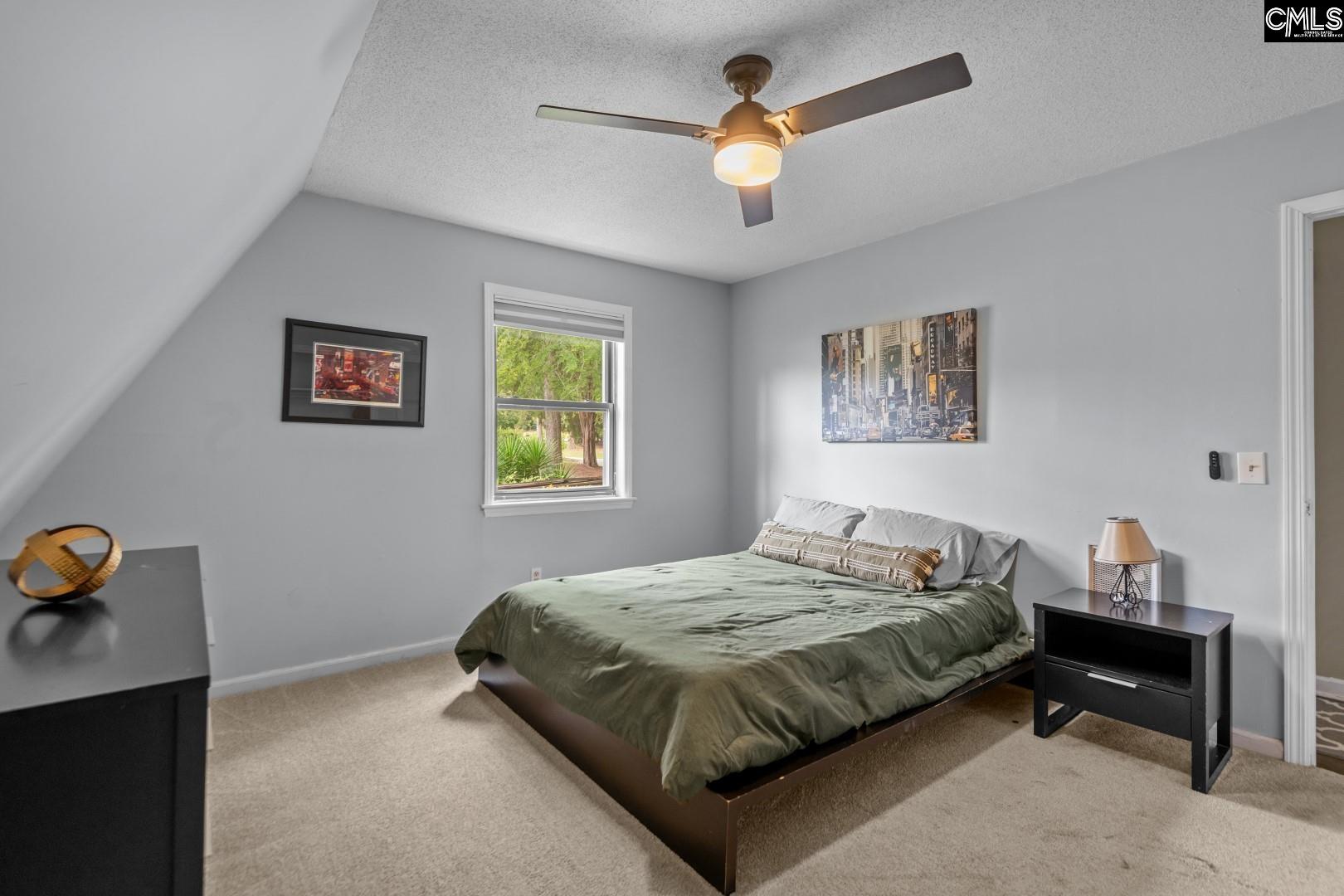 615 Pine Meadow Court, Chapin, South Carolina image 13