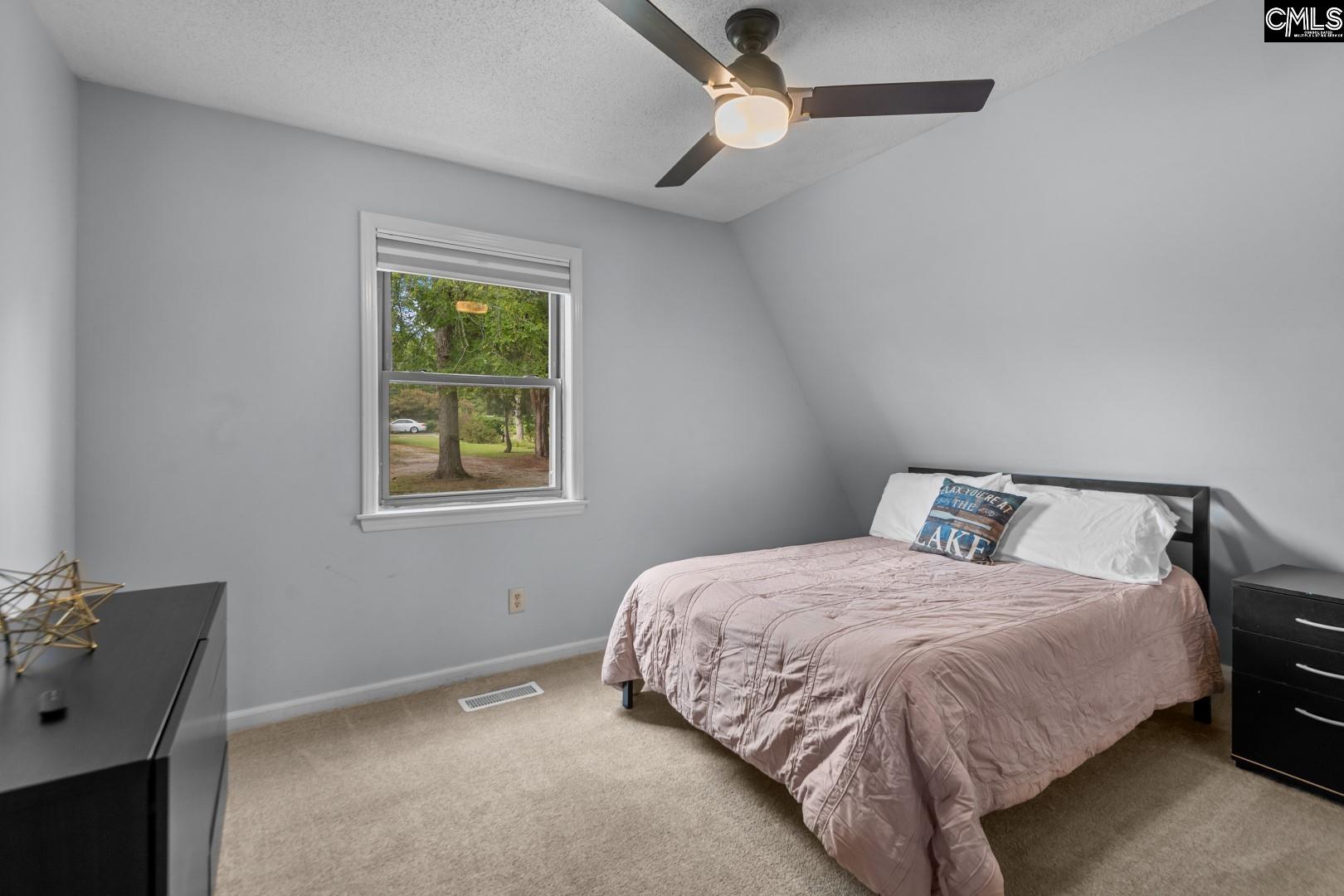 615 Pine Meadow Court, Chapin, South Carolina image 18