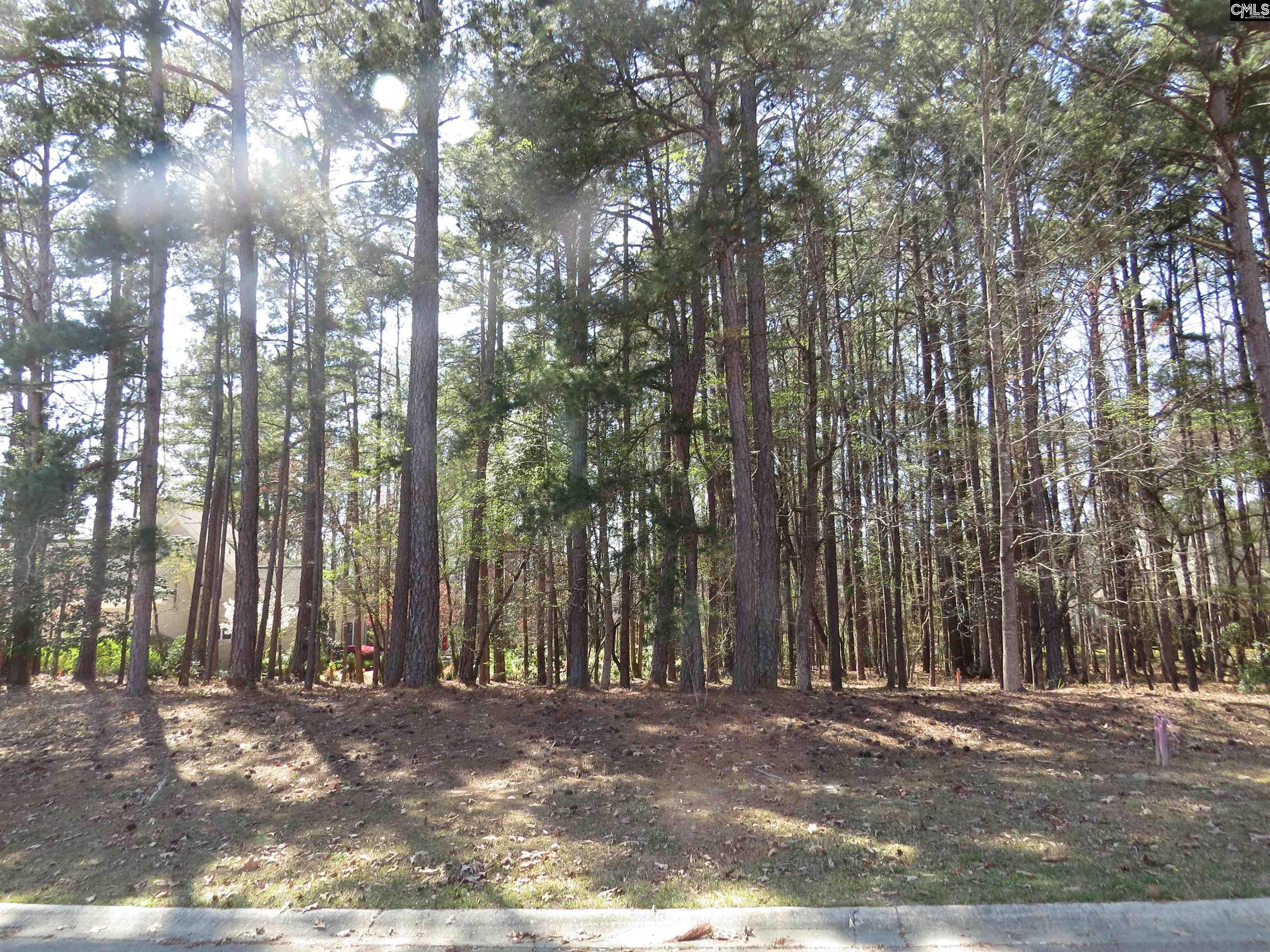 203 Beaver Lake Drive Elgin, SC 29045