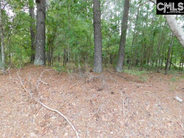 5260 Cotton Acres Road Unit #2 Sumter, SC 29153