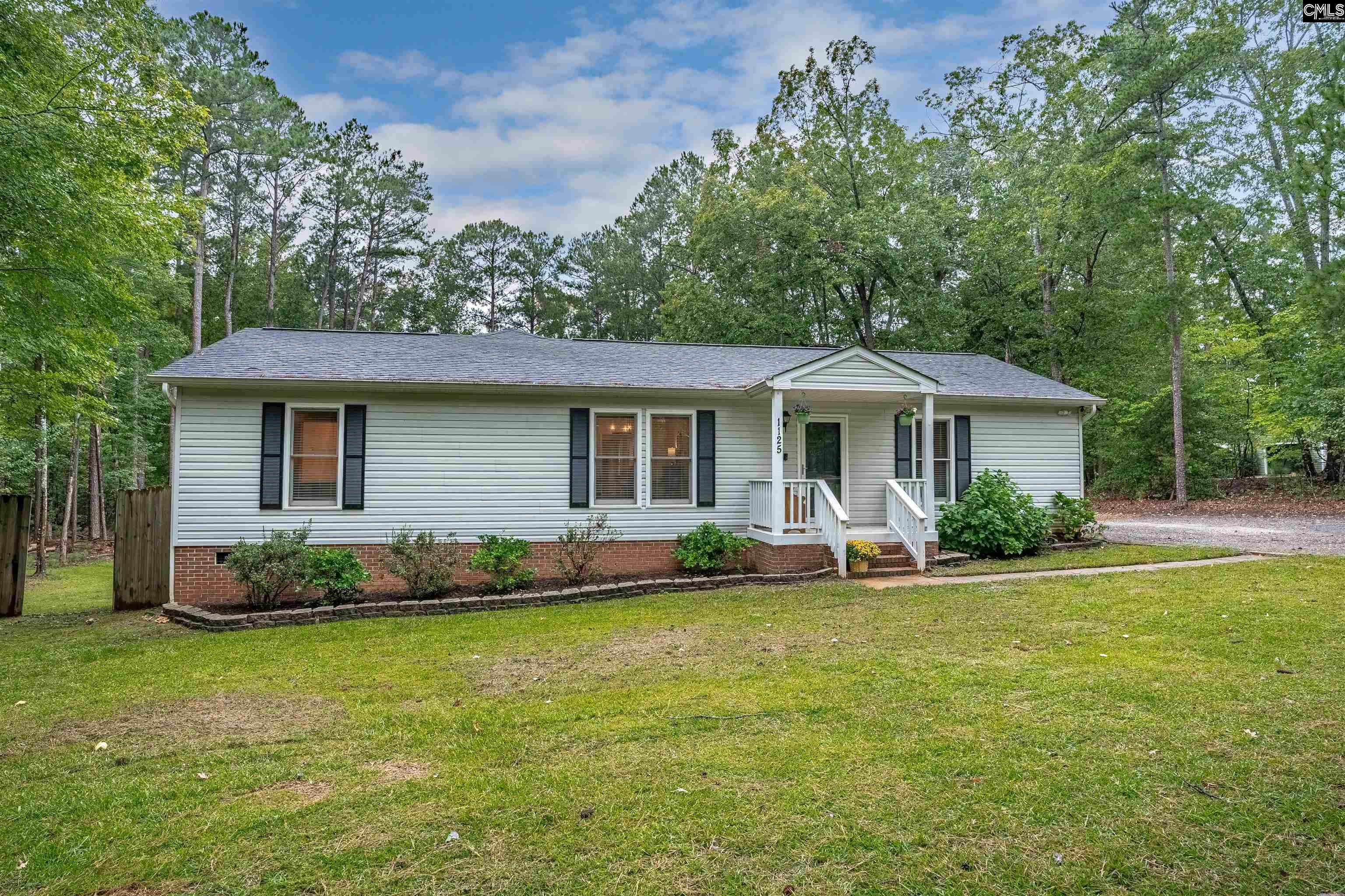 1125 Pet Sites Road Chapin, SC 29036