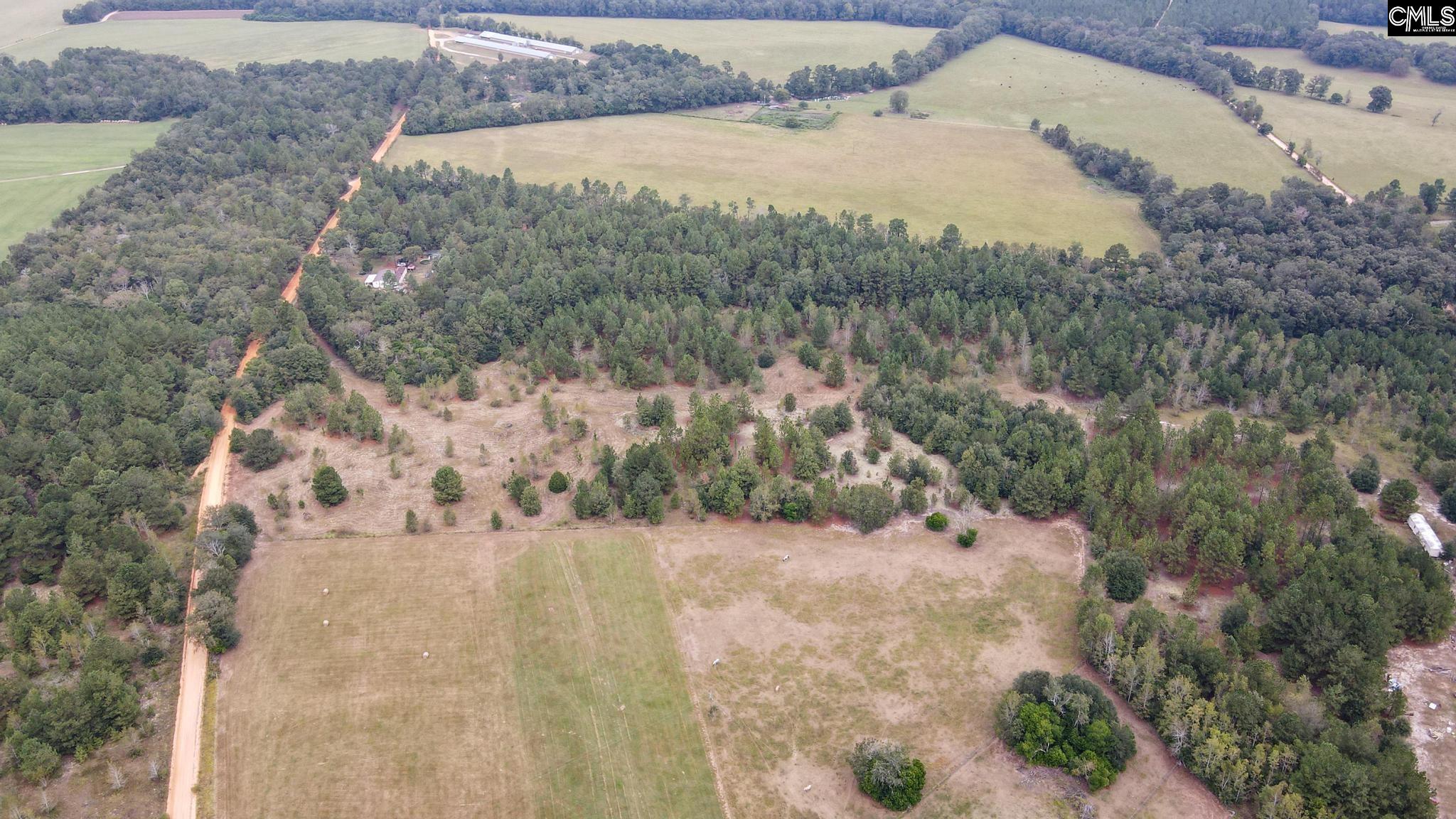 Kennedy Pond Road, Wagener, South Carolina image 5