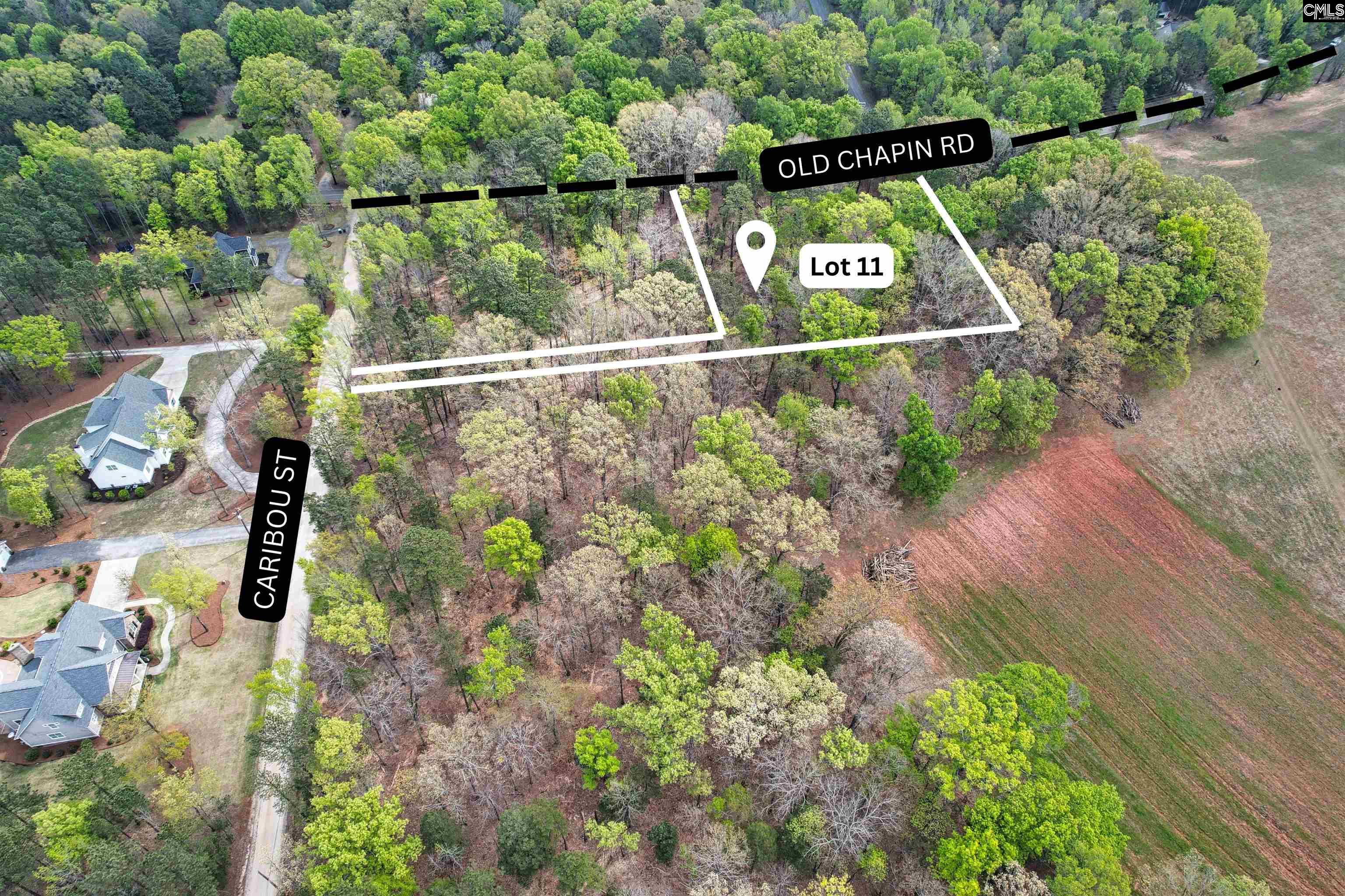 111 Caribou Street Unit #11 Lexington, SC 29072