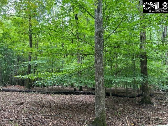 Mill Road Little Mountain, SC 29075