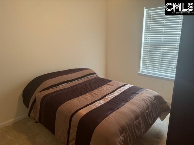 313 S Allaire Court Columbia, SC 29229-9489