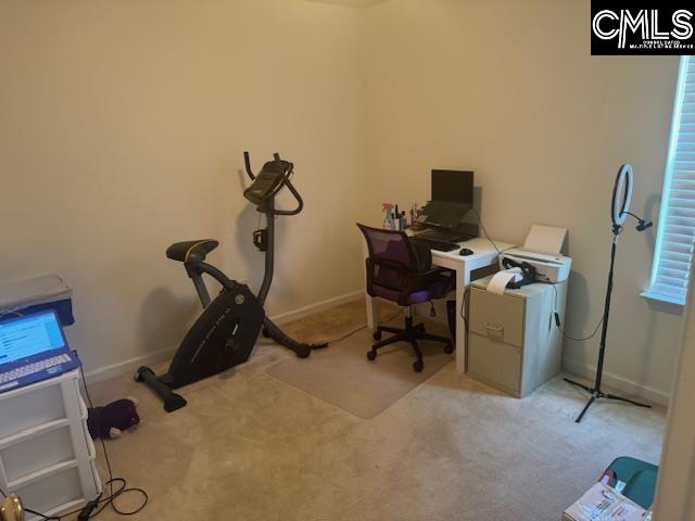 313 S Allaire Court Columbia, SC 29229-9489