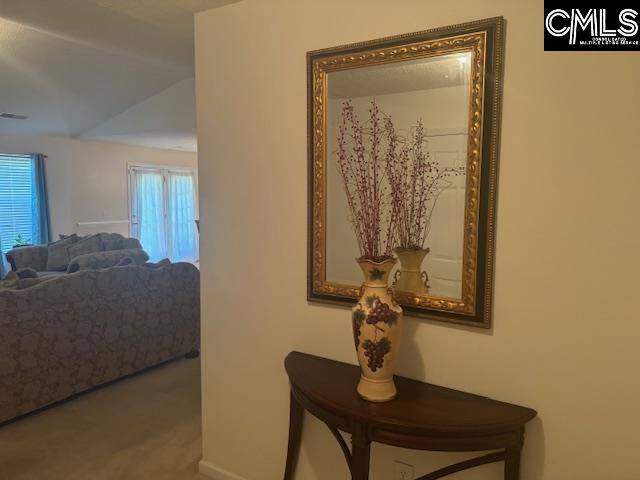 313 S Allaire Court Columbia, SC 29229-9489