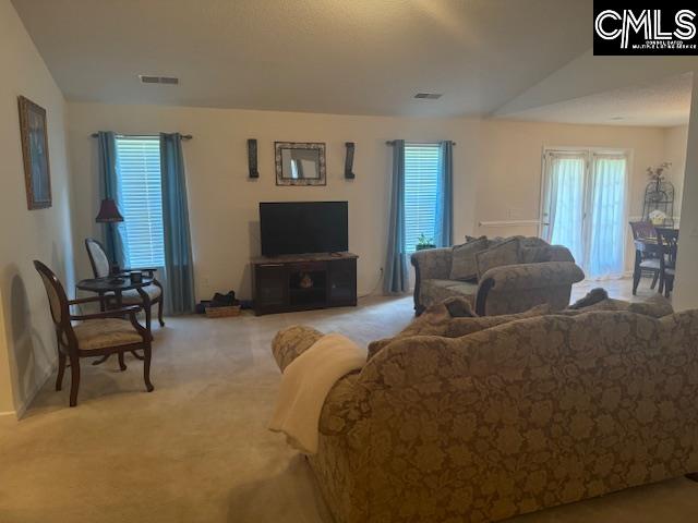 313 S Allaire Court Columbia, SC 29229-9489