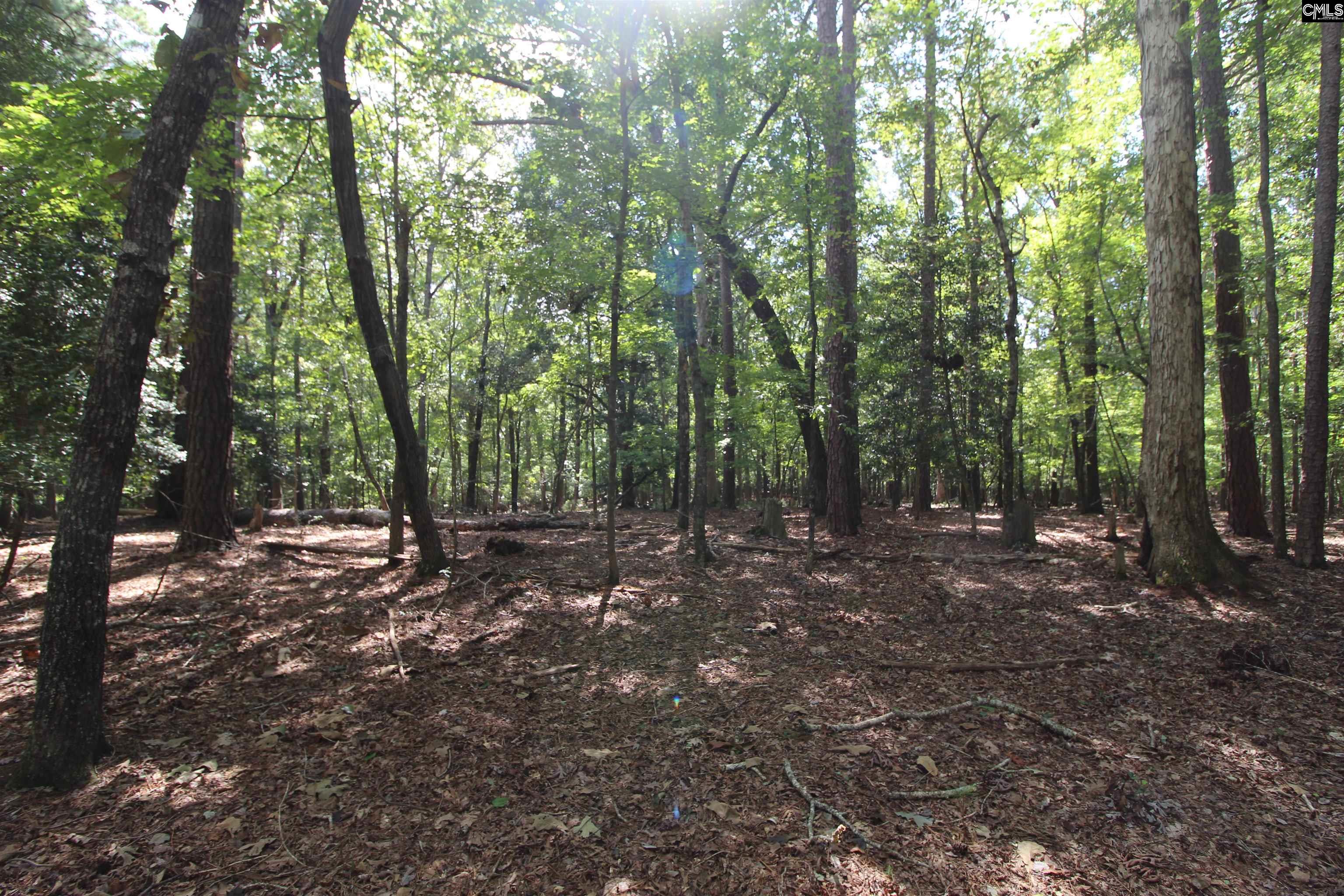 Lominack Road Prosperity, SC 29127