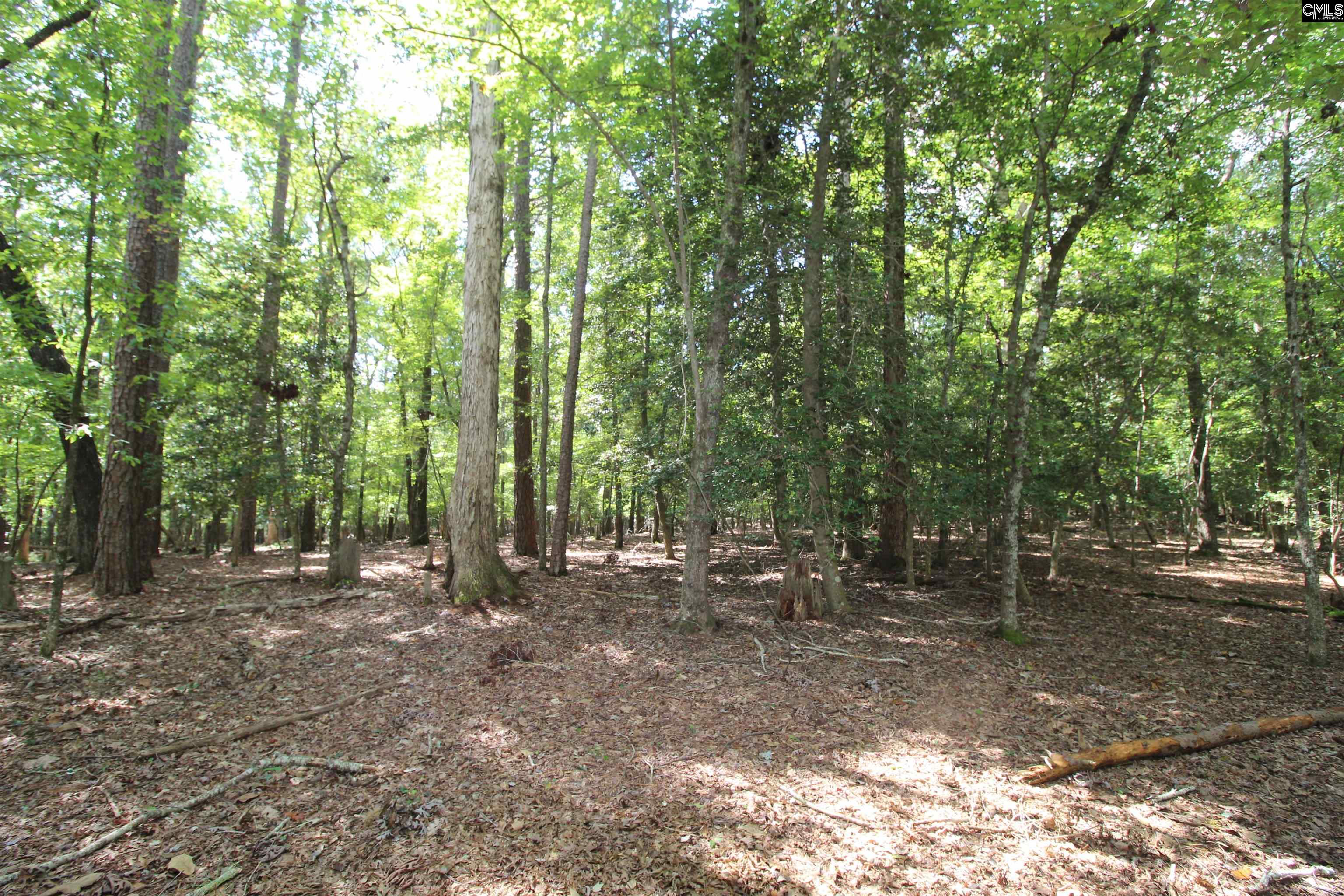 Lominack Road Prosperity, SC 29127