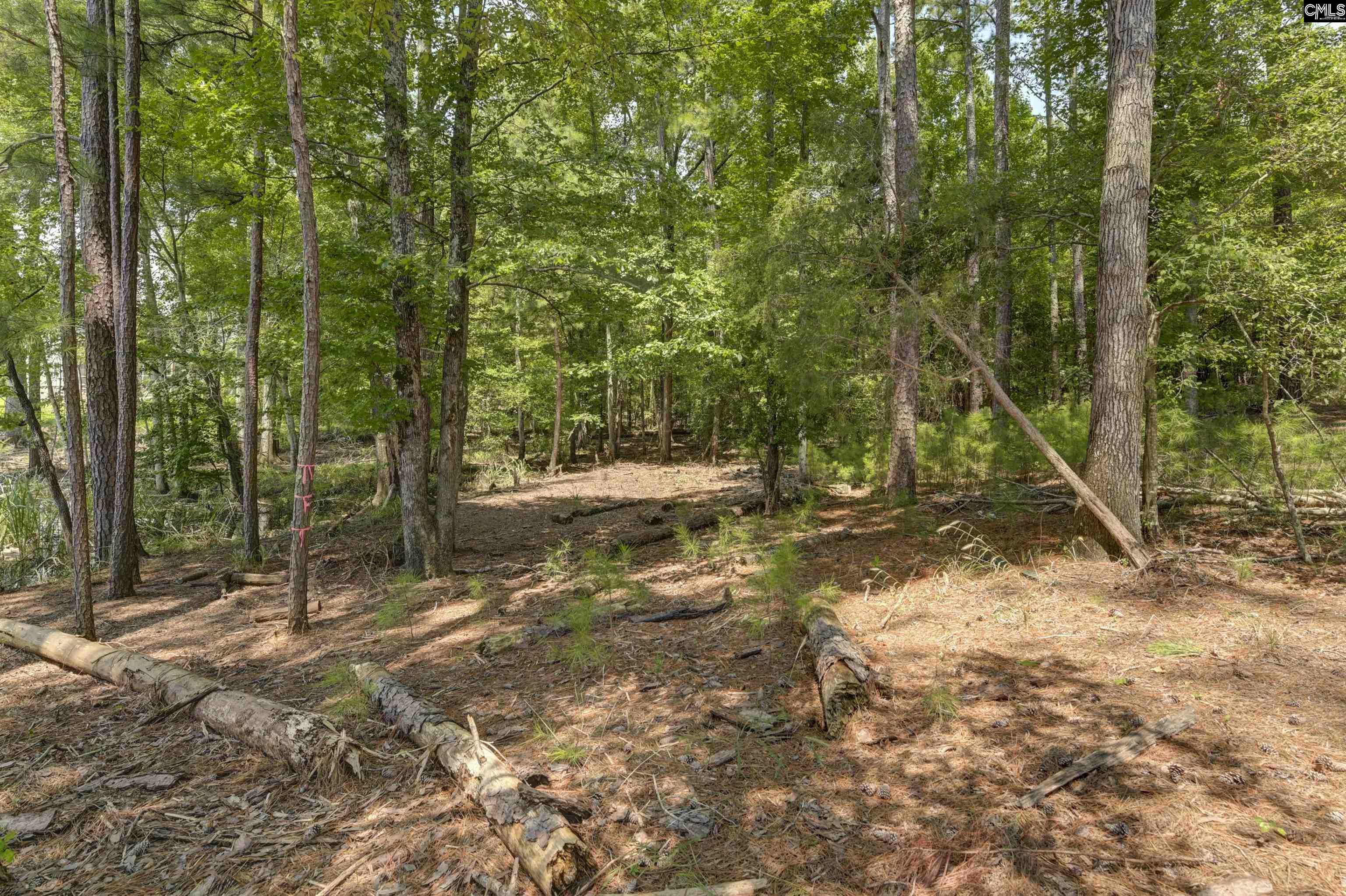 TBD Retreat Way, Ridgeway, South Carolina image 11