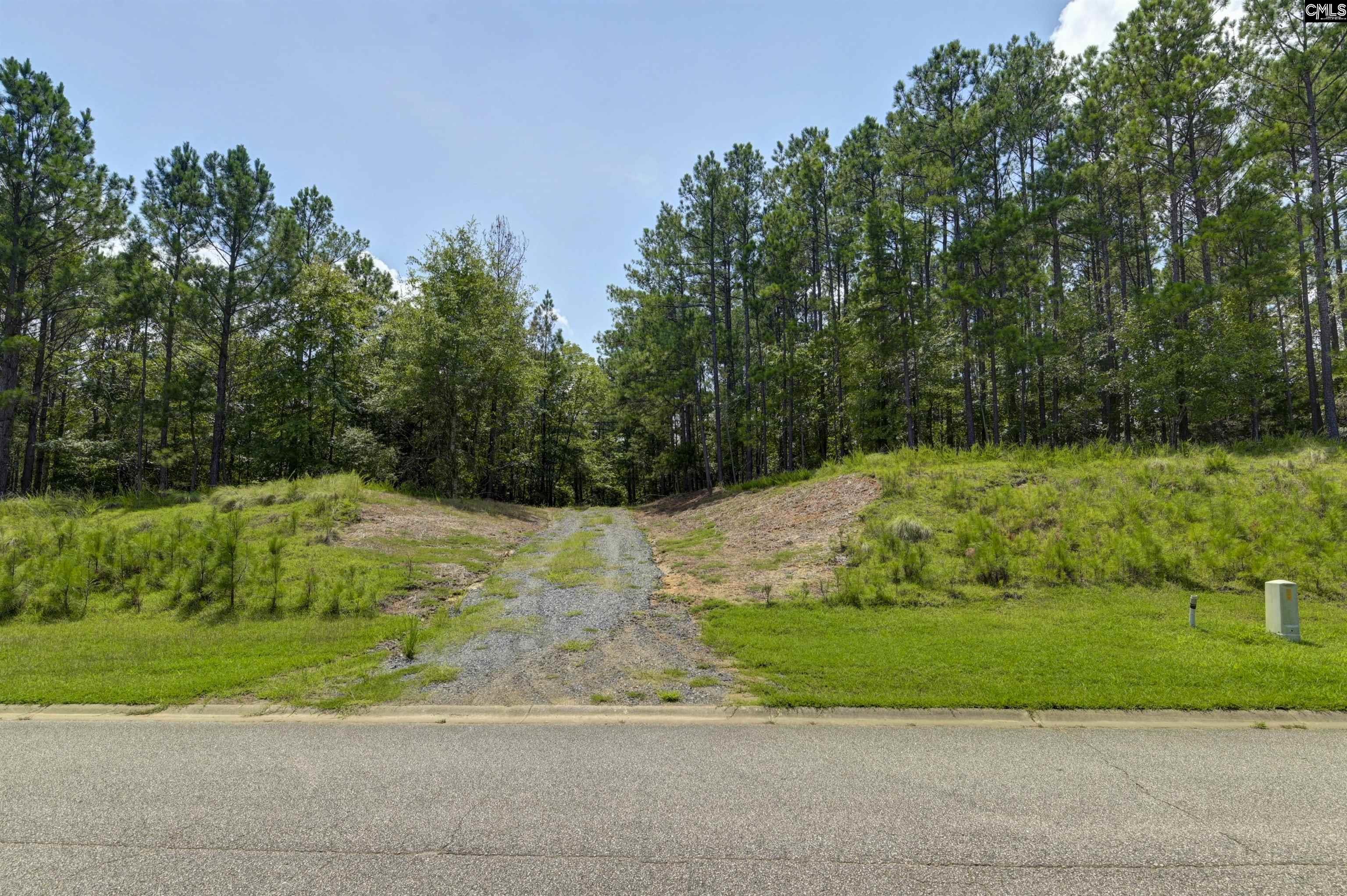 TBD Retreat Way, Ridgeway, South Carolina image 6