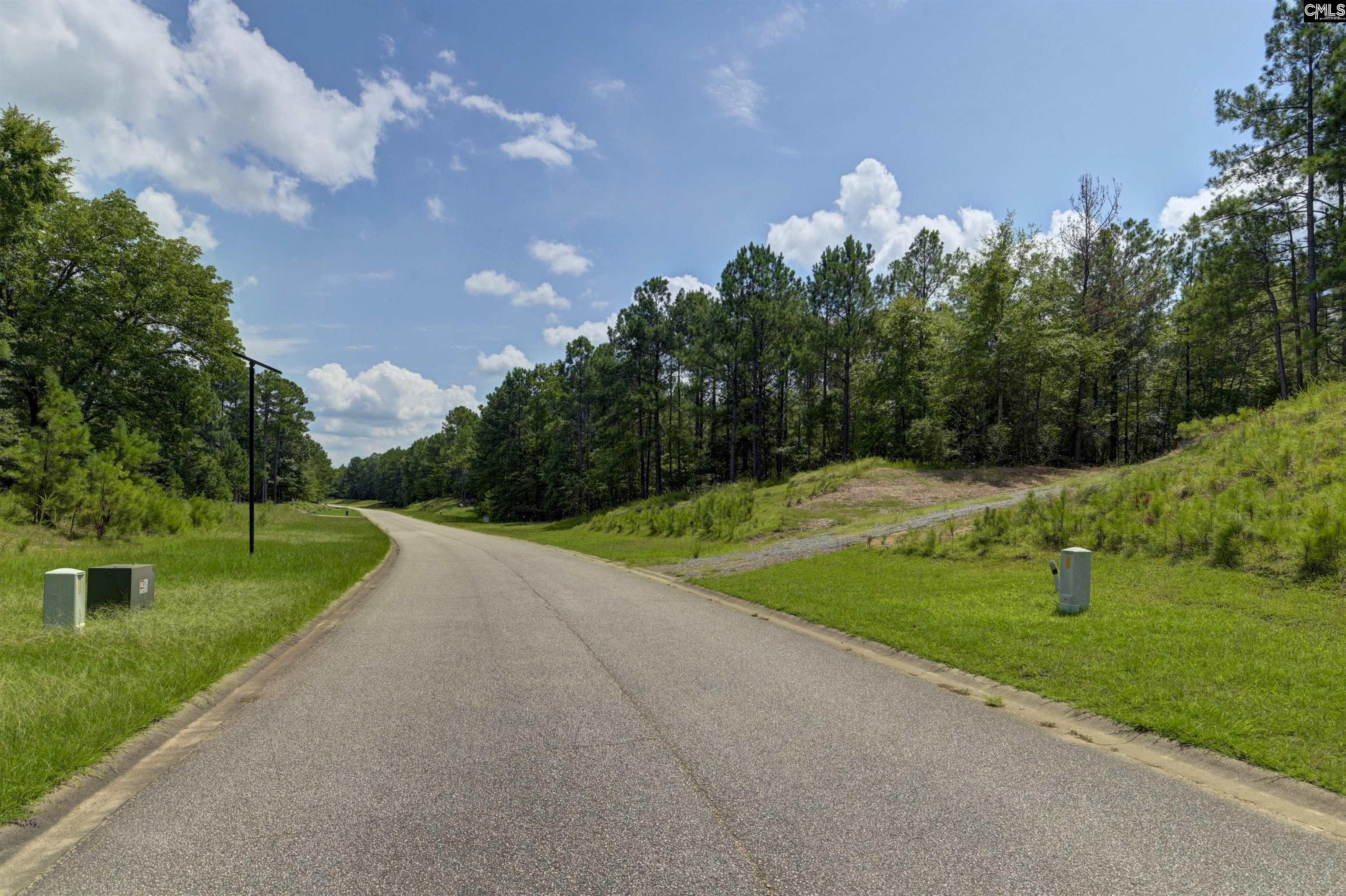 TBD Retreat Way, Ridgeway, South Carolina image 7