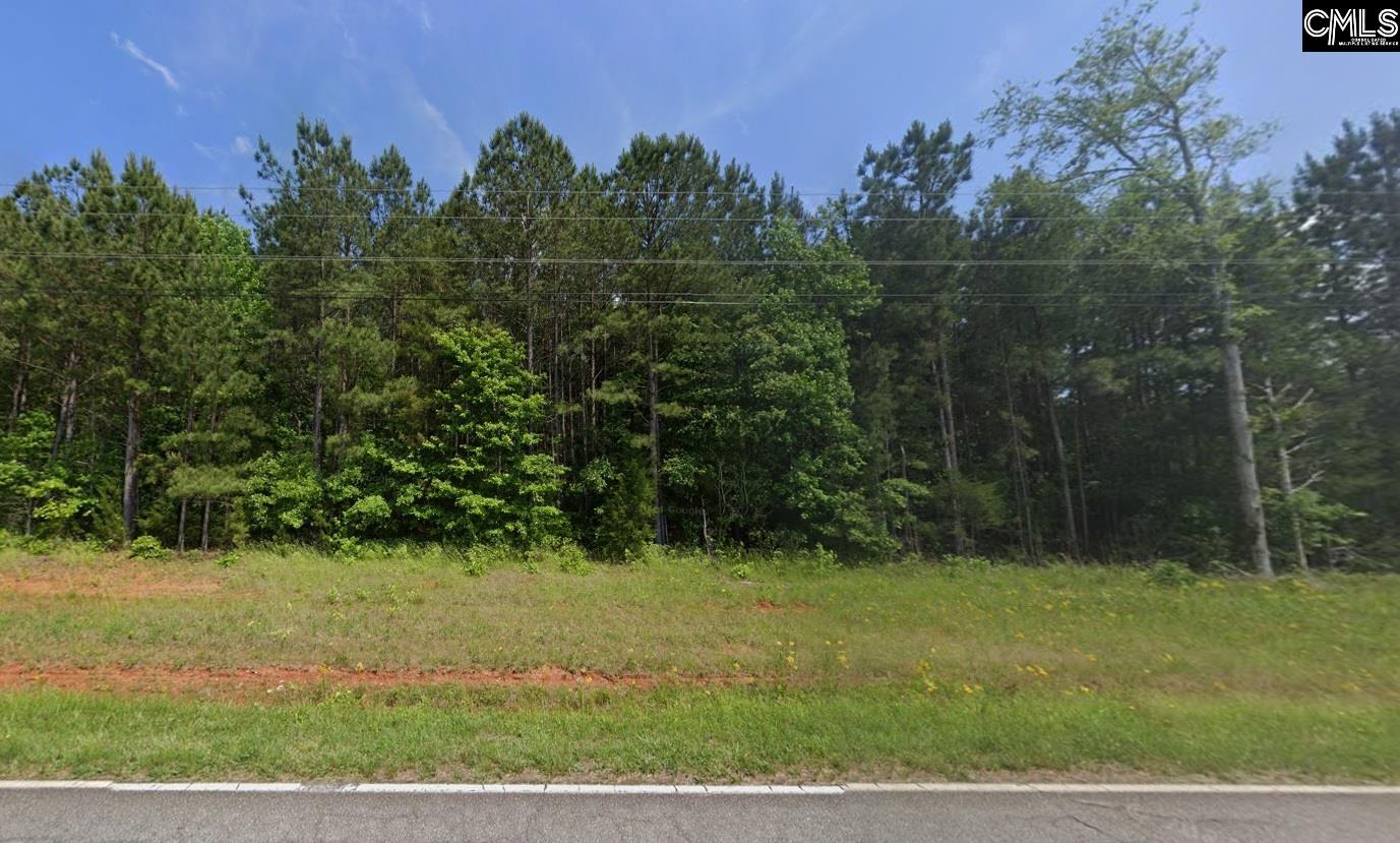 TBD Old Whitmire Highway, Newberry, South Carolina image 1