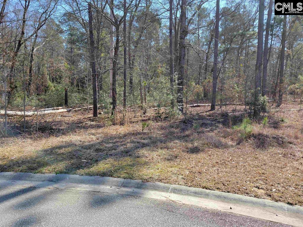 9 Legacy Court Camden, SC 29020-0000