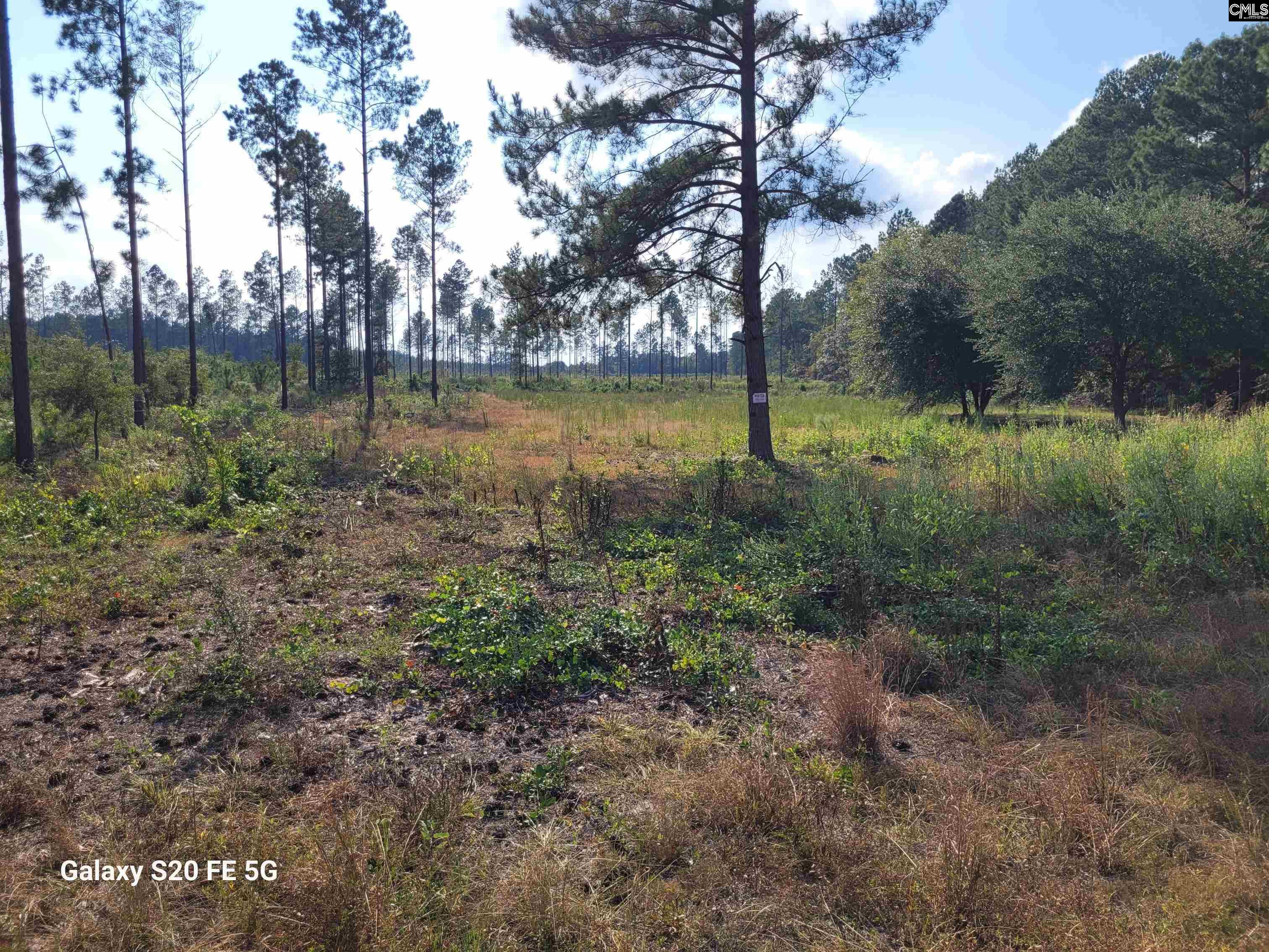 2279 Mt Hebron Road Cassatt, SC 29032