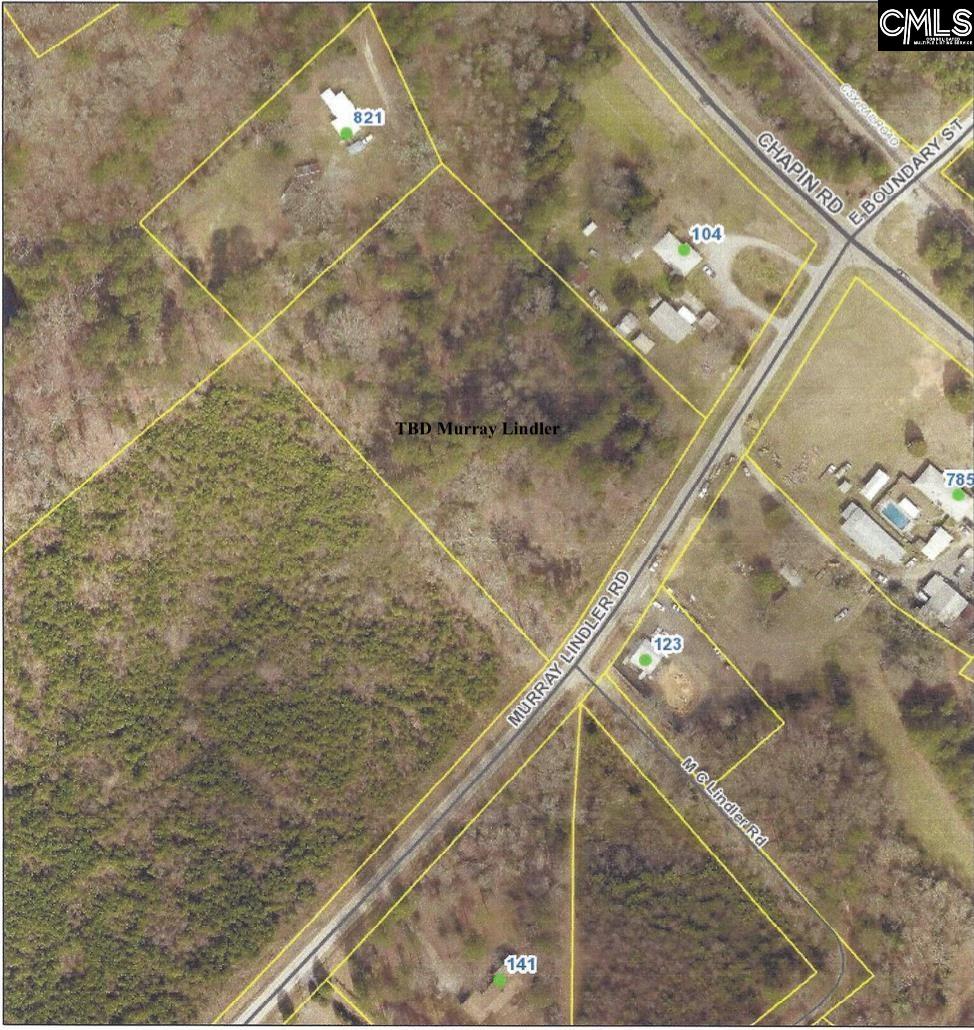 Tbd Murray Lindler Road Chapin, SC 29036
