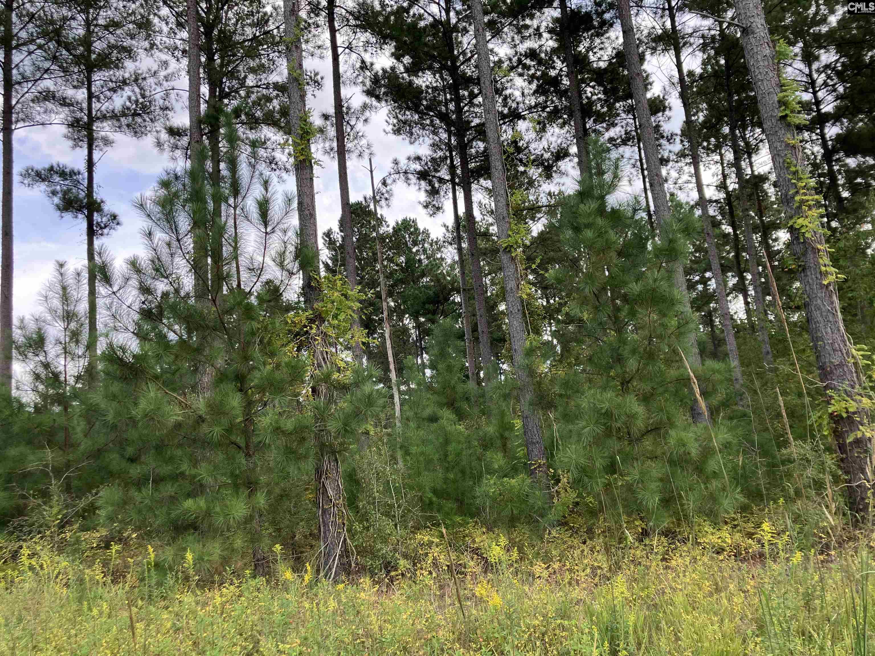 Holley Ferry Road Leesville, SC 29070