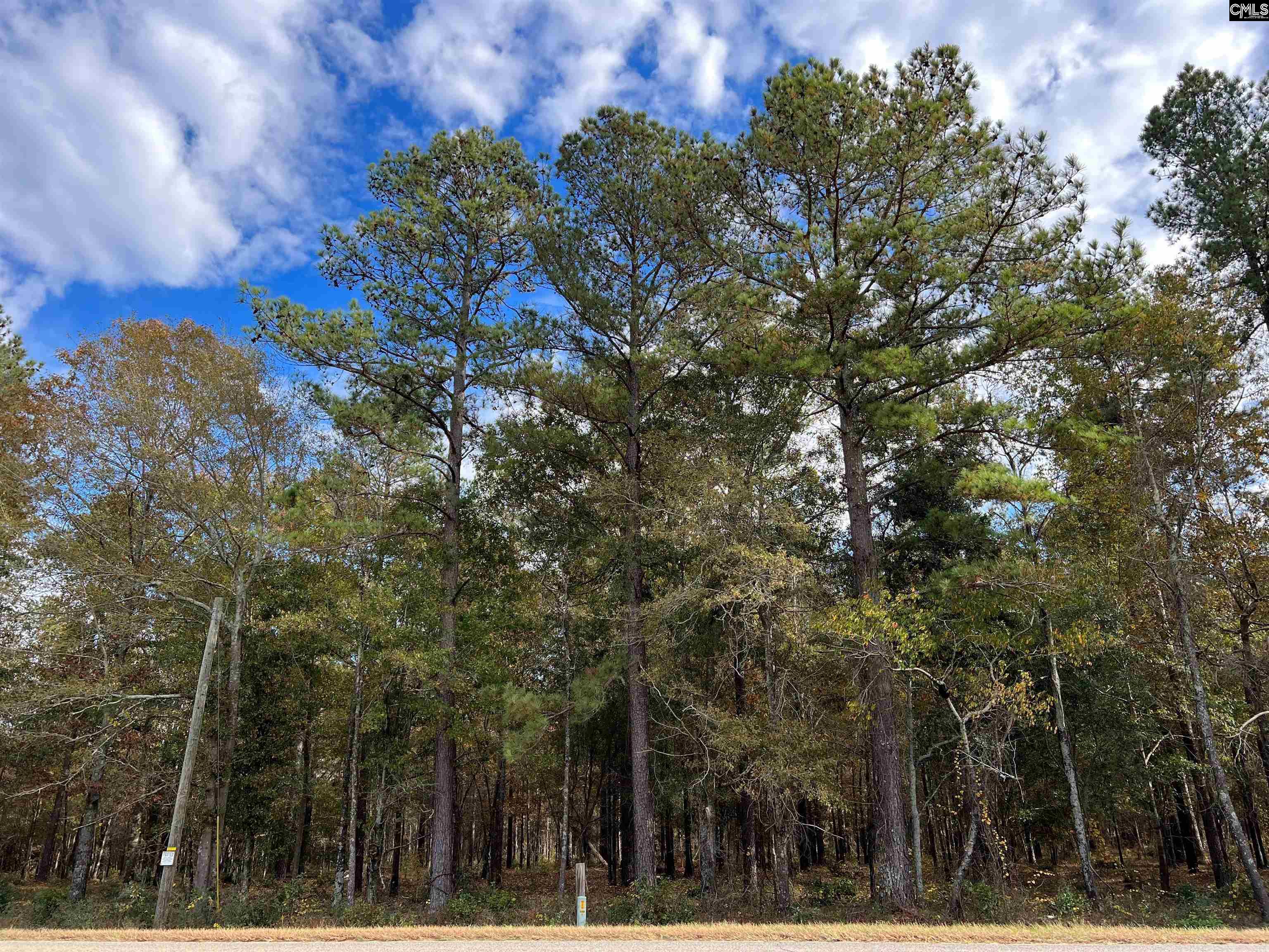EBH A4-1A Wendell Lane #EBH A4-1A, Wagener, South Carolina image 2