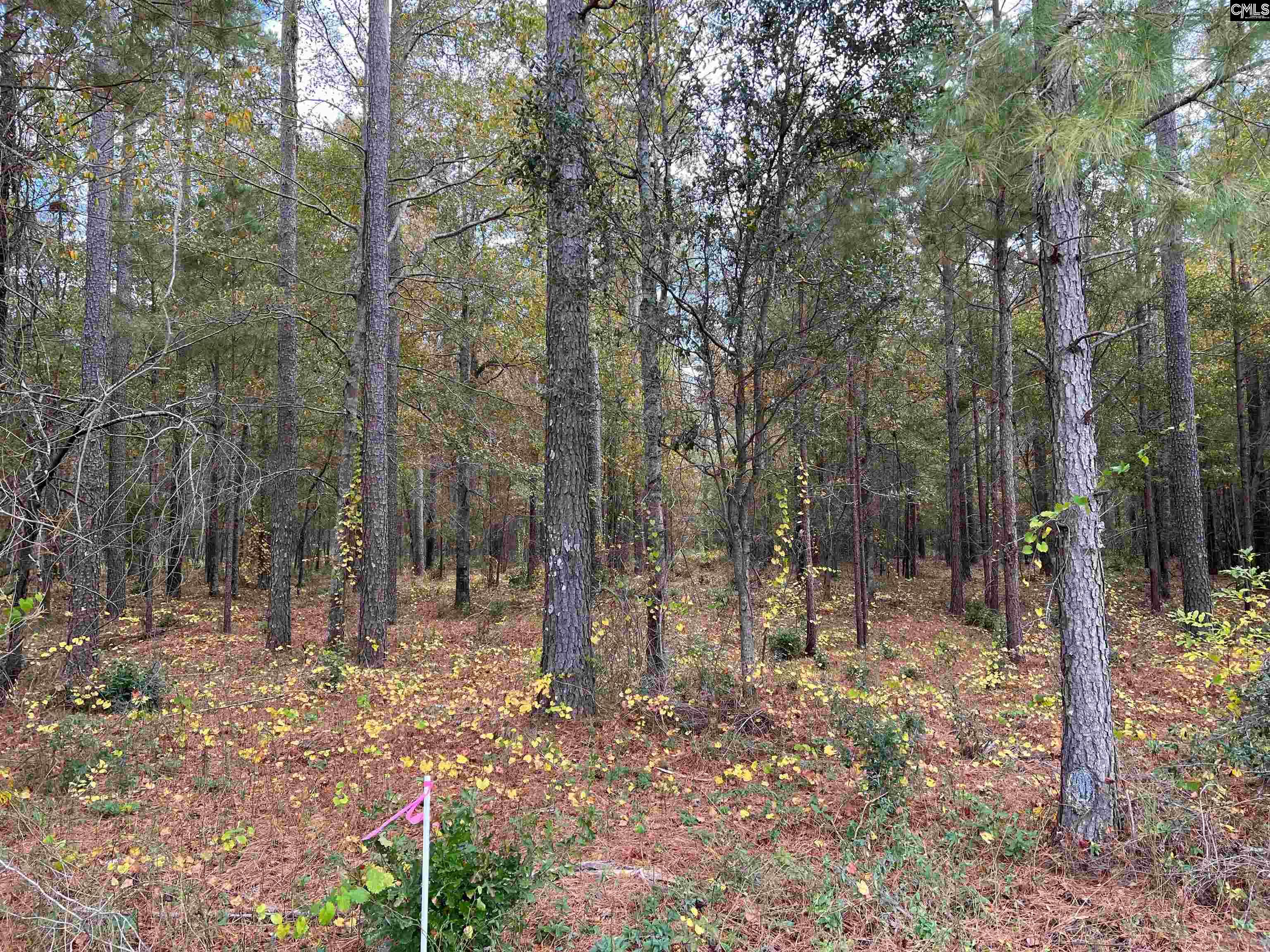 EBH A4-1A Wendell Lane #EBH A4-1A, Wagener, South Carolina image 6