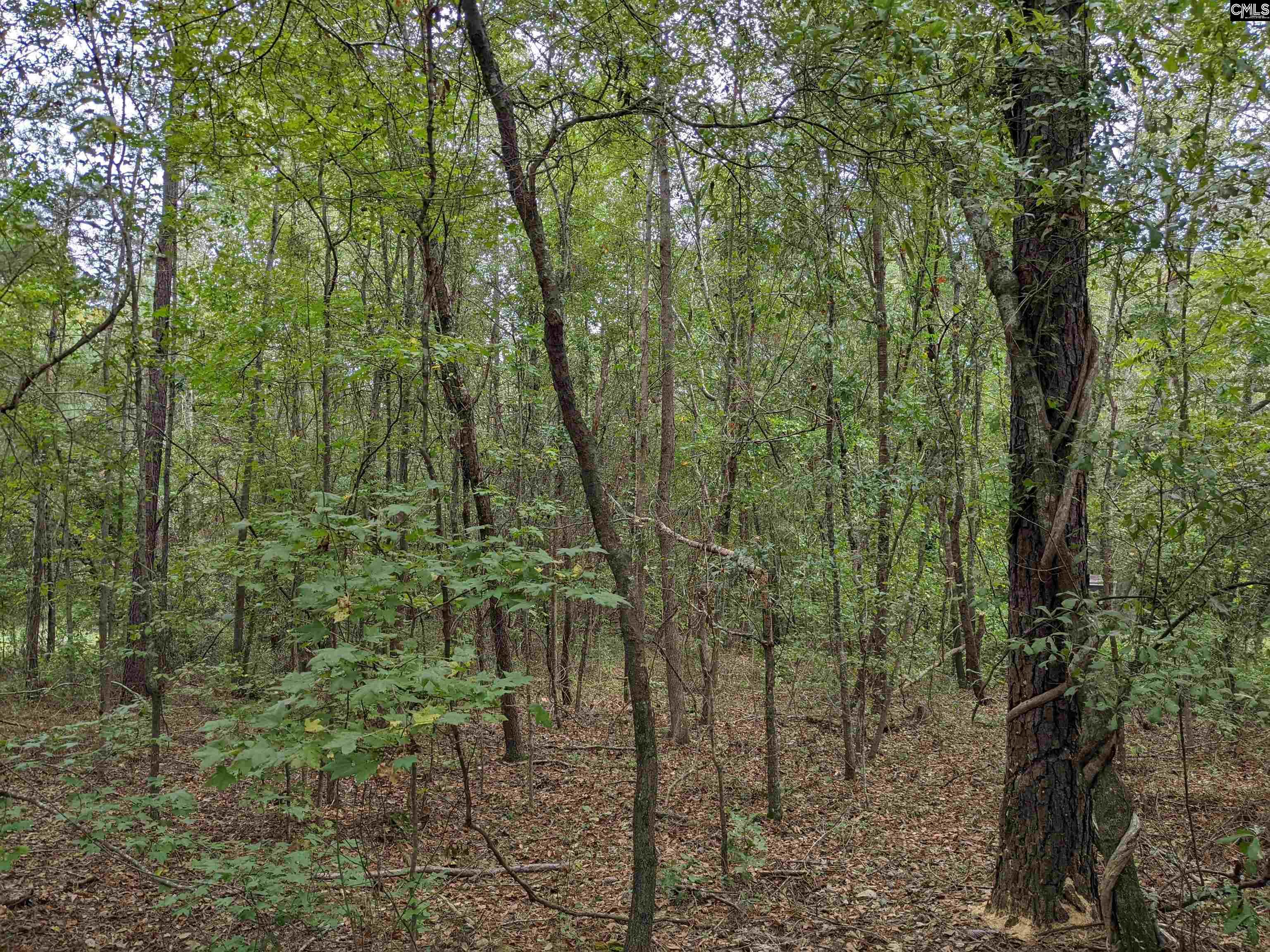 1113 Chappell Creek Road Hopkins, SC 29061