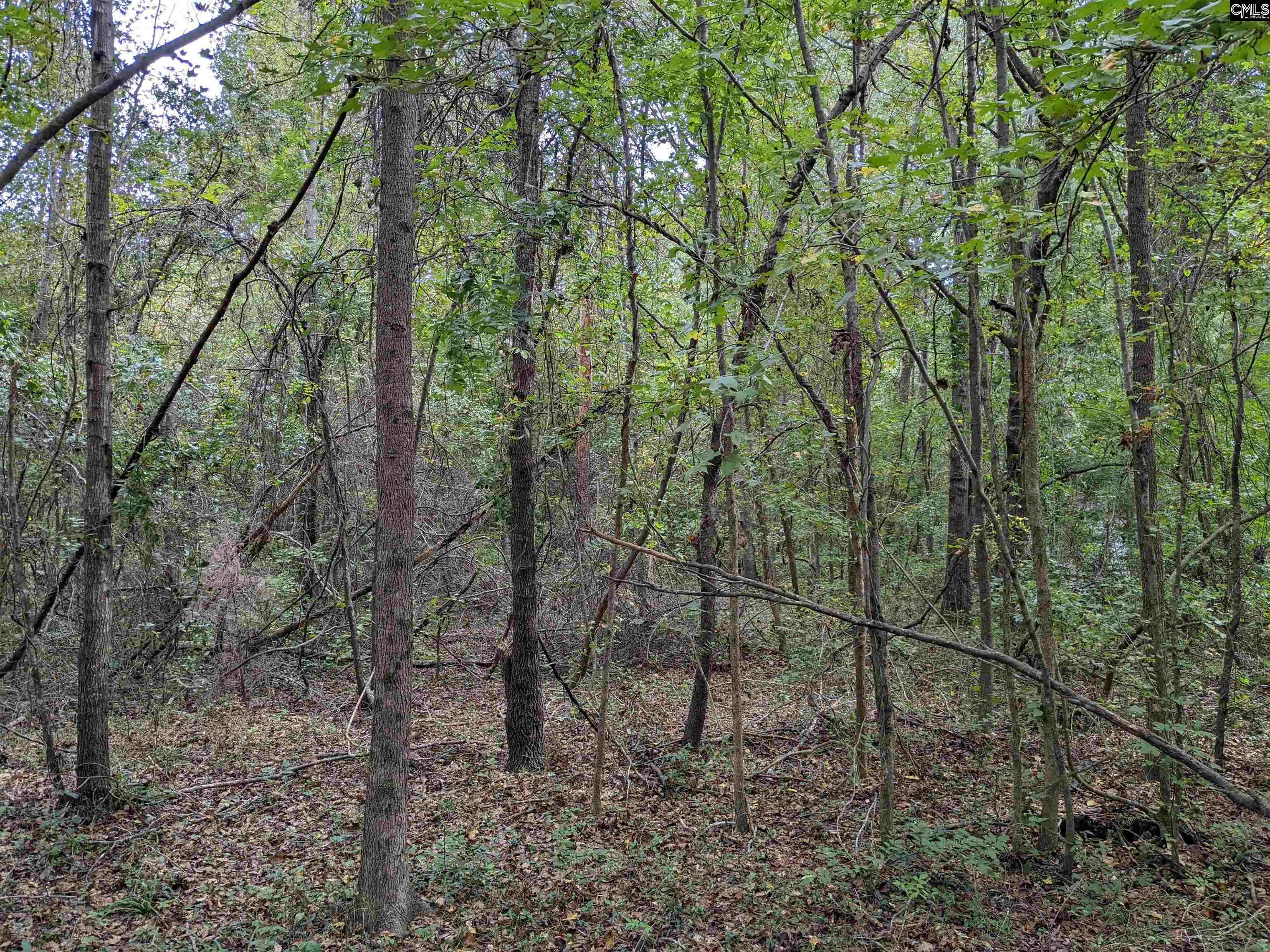 1113 Chappell Creek Road Hopkins, SC 29061