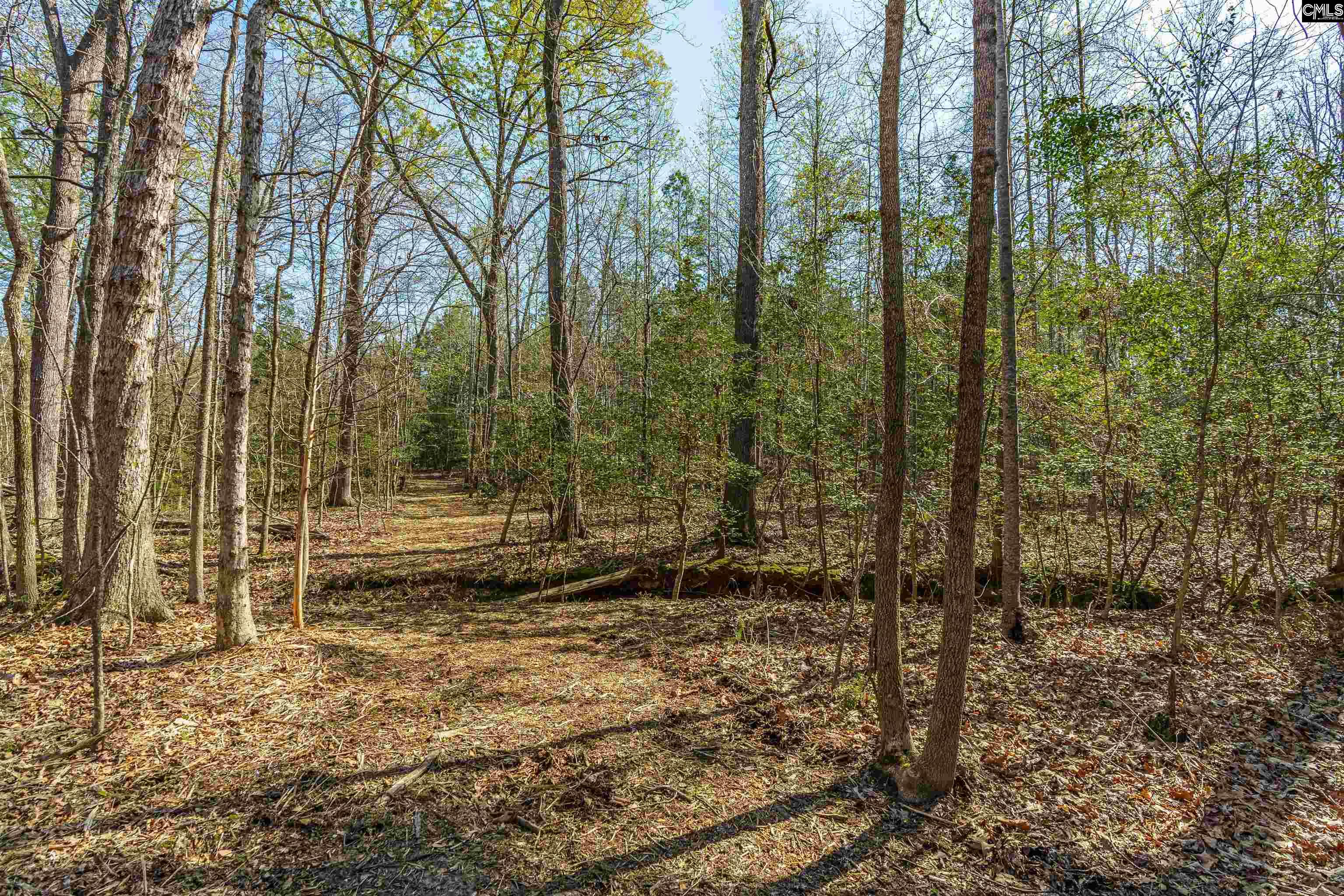 Parcel A Grover Wilson Road Blythewood, SC 29016