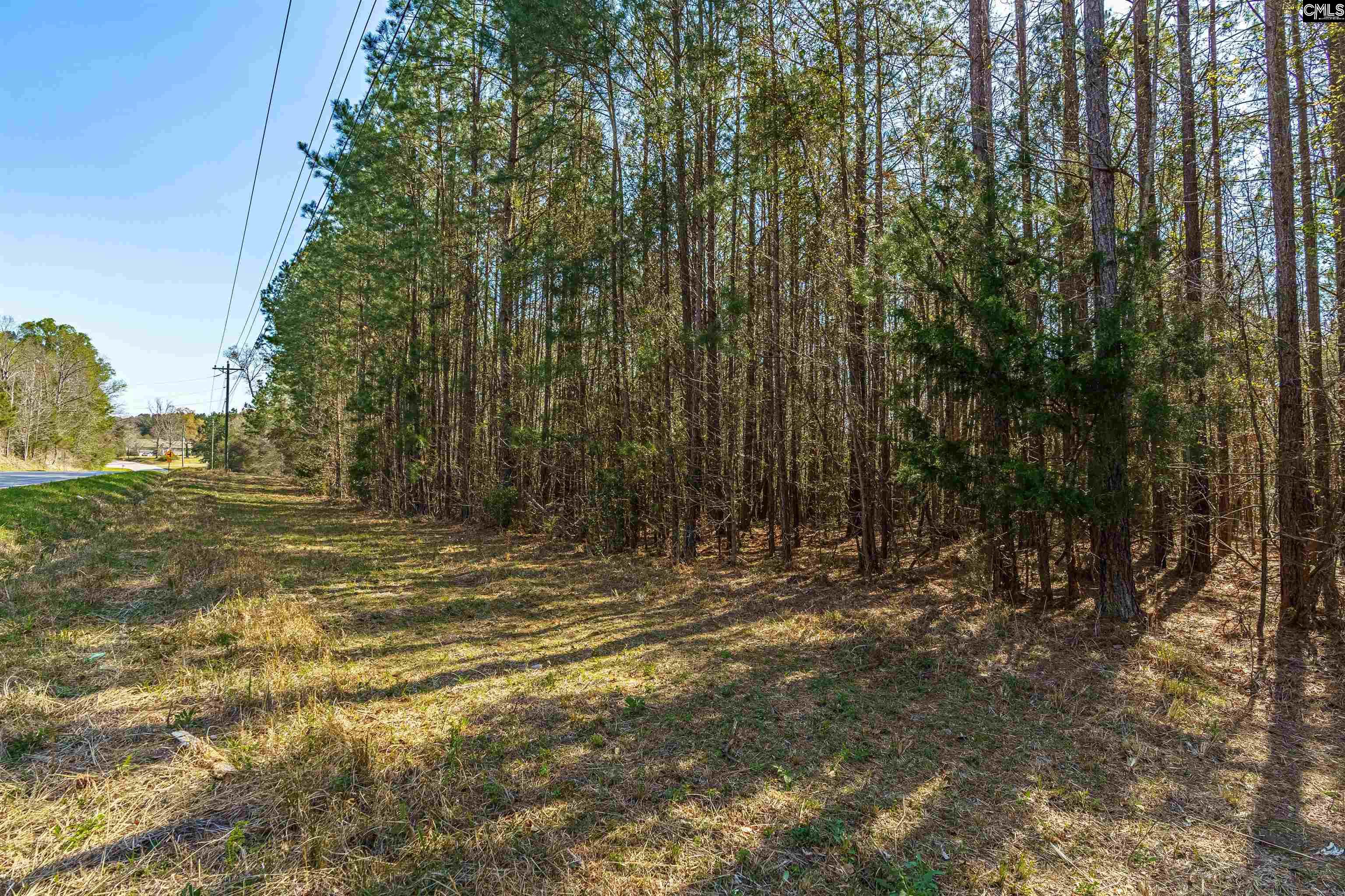 Parcel A Grover Wilson Road Blythewood, SC 29016
