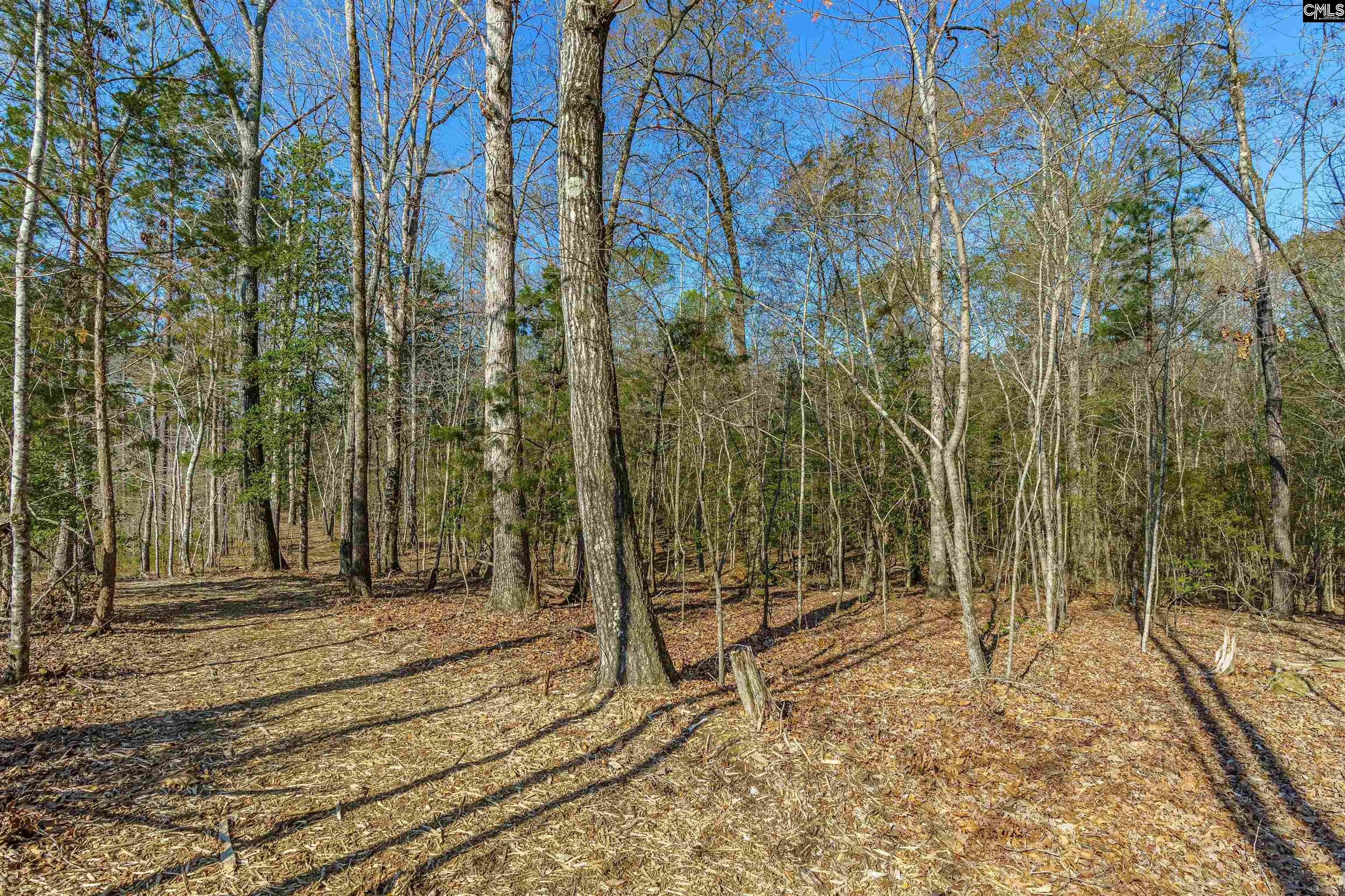 Parcel A Grover Wilson Road Blythewood, SC 29016