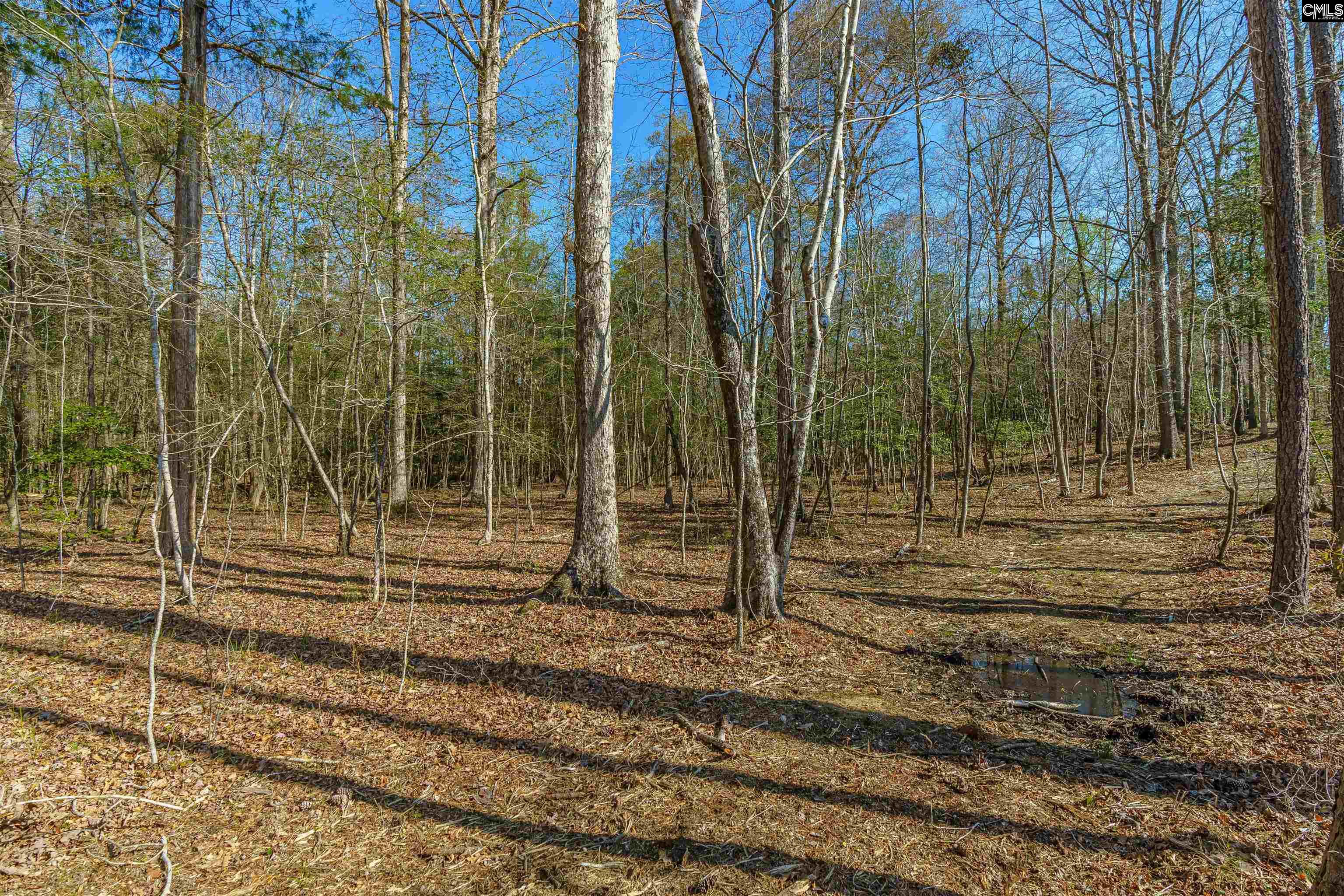 Parcel A Grover Wilson Road Blythewood, SC 29016