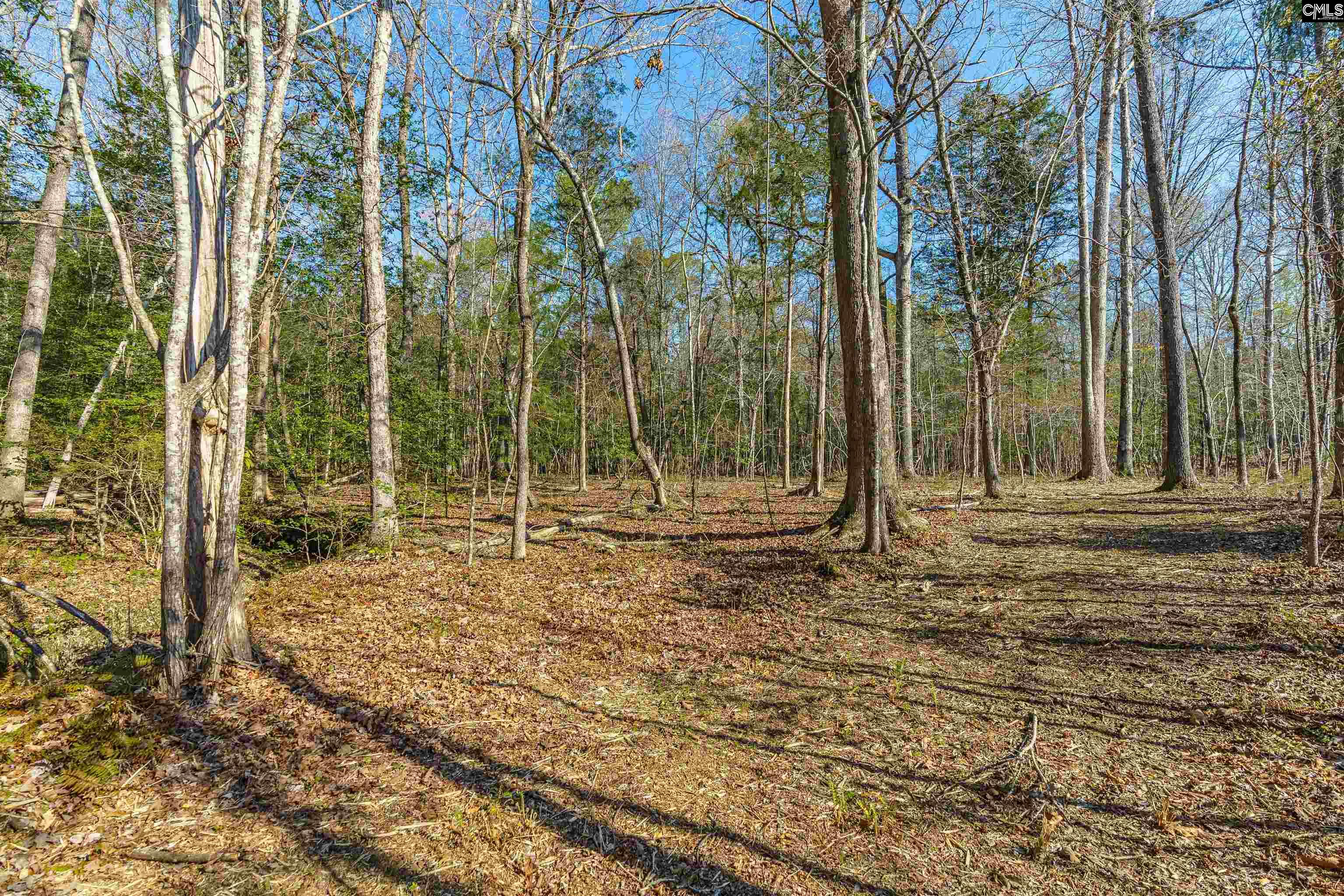 Parcel A Grover Wilson Road Blythewood, SC 29016