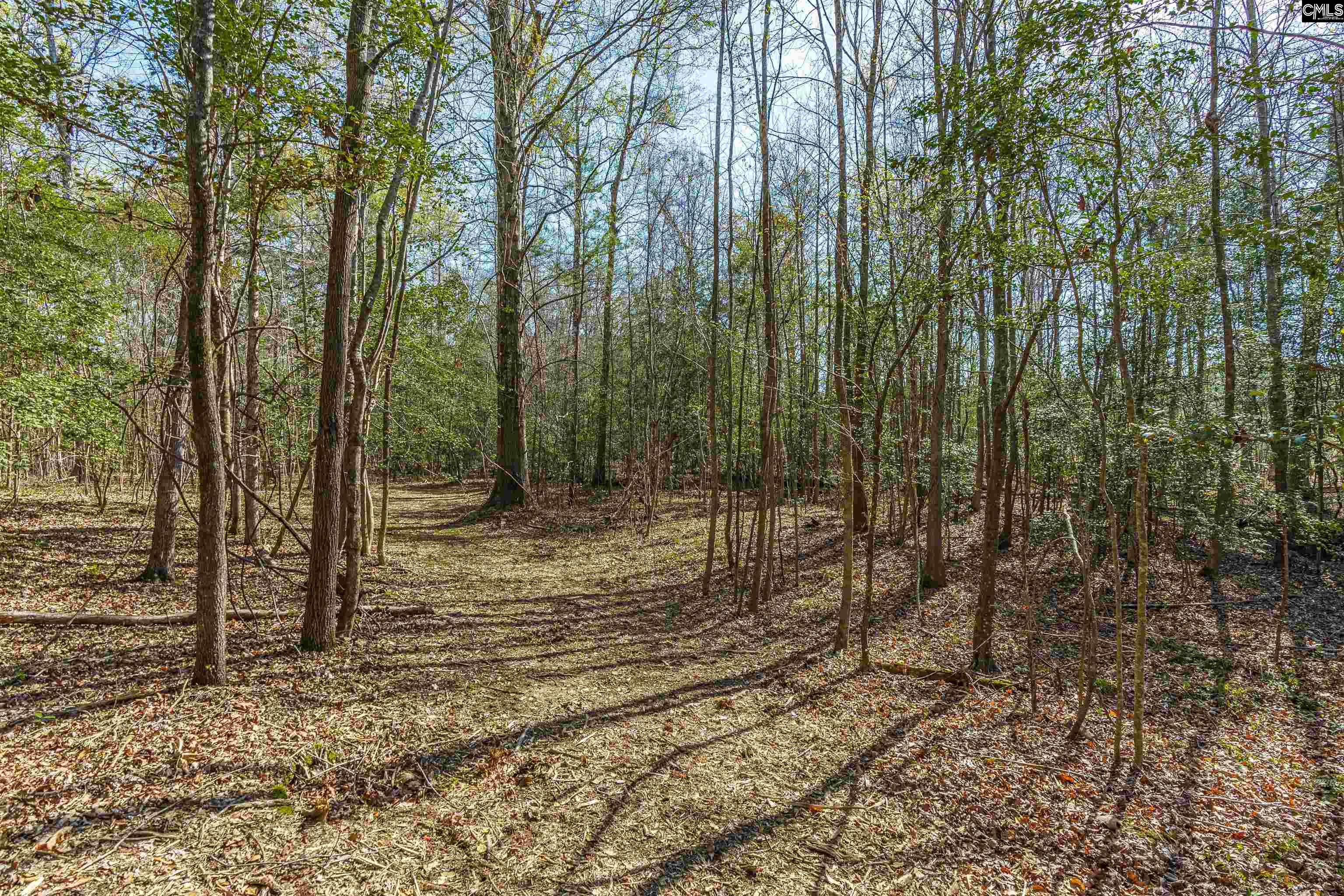 Parcel A Grover Wilson Road Blythewood, SC 29016