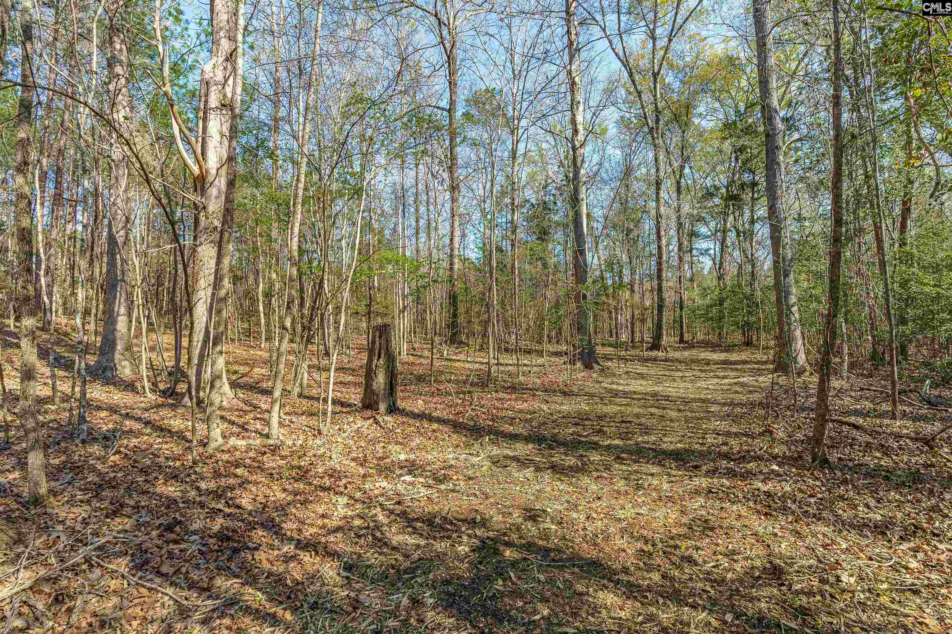 Parcel A Grover Wilson Road Blythewood, SC 29016