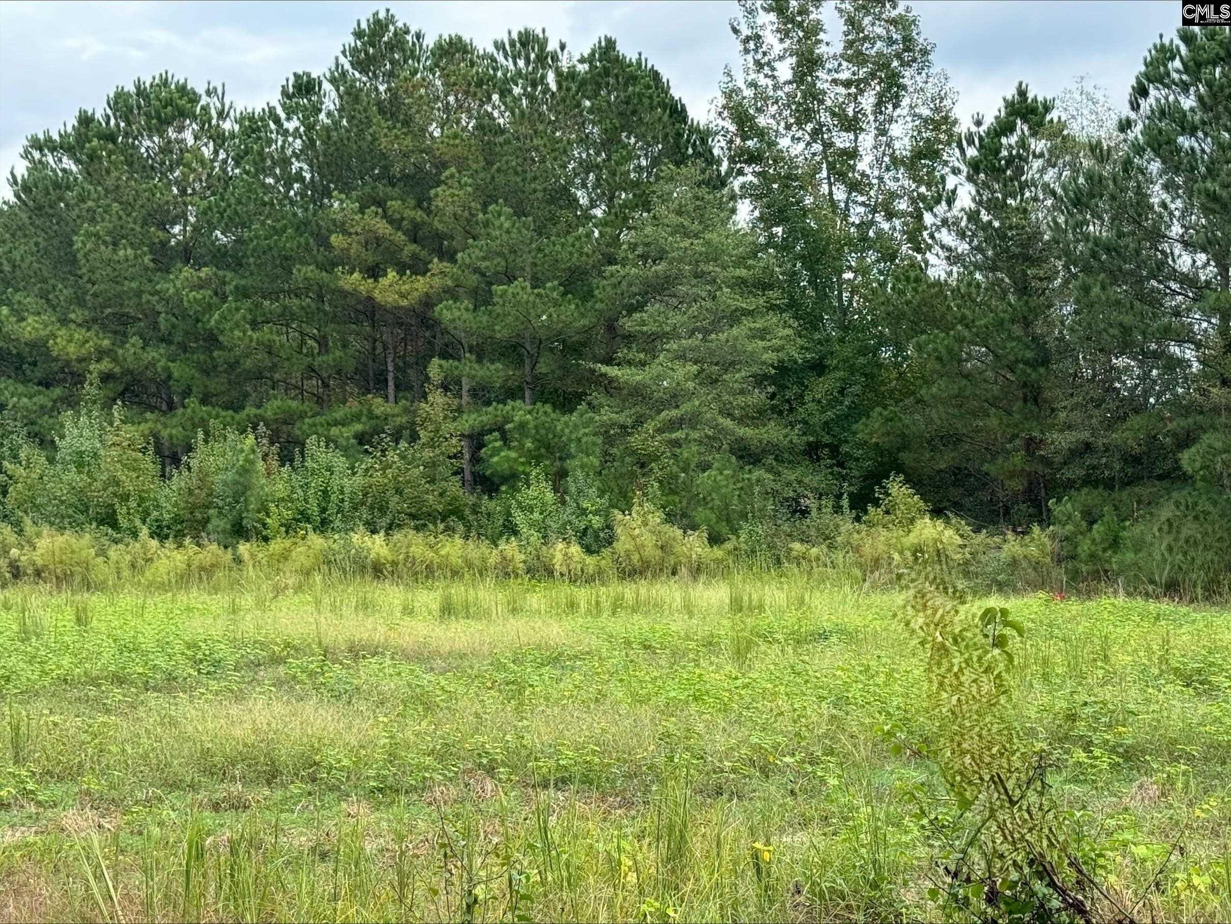 1066 Edmonds Farm Road Hopkins, SC 29061