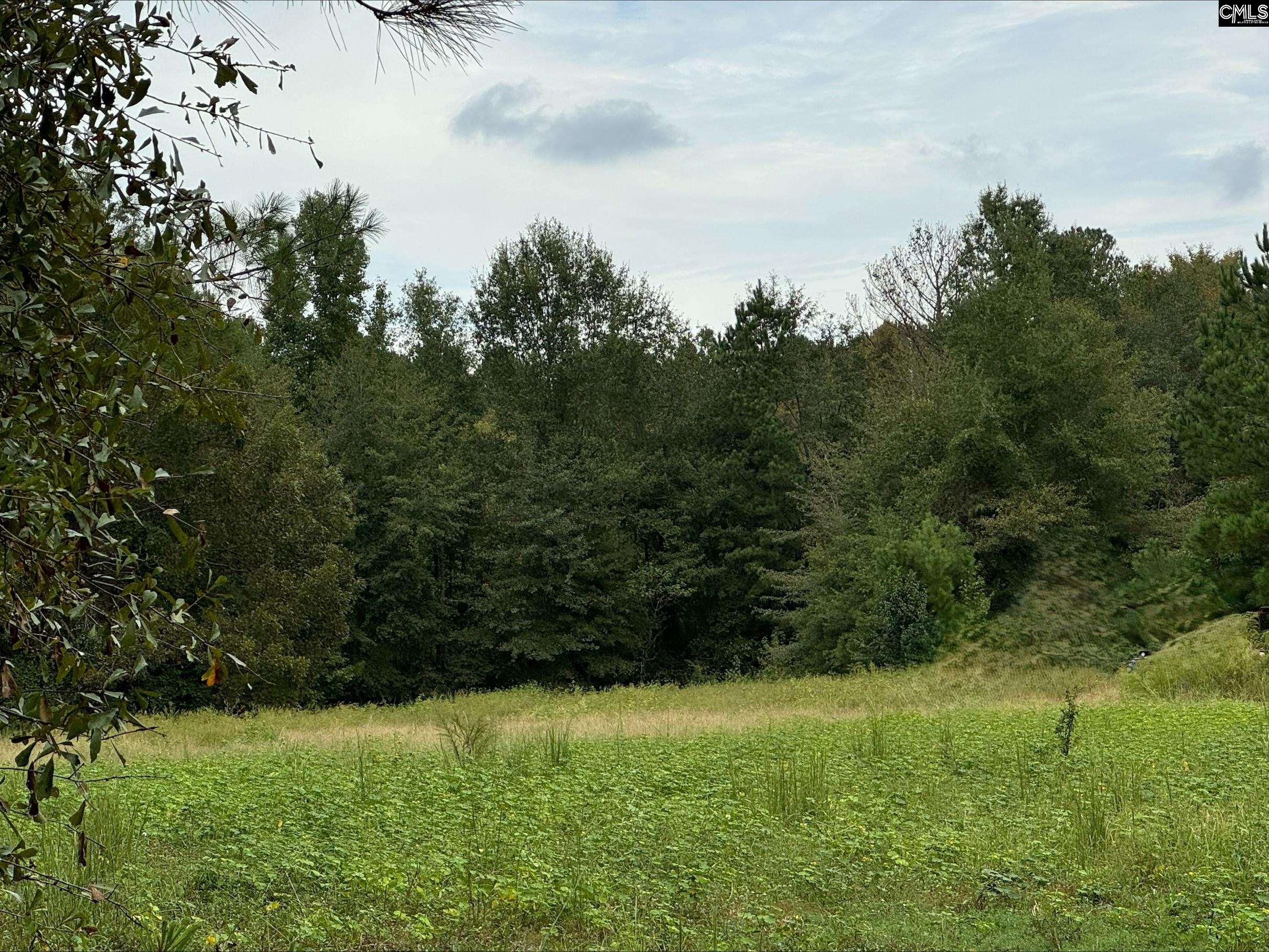 1066 Edmonds Farm Road Hopkins, SC 29061