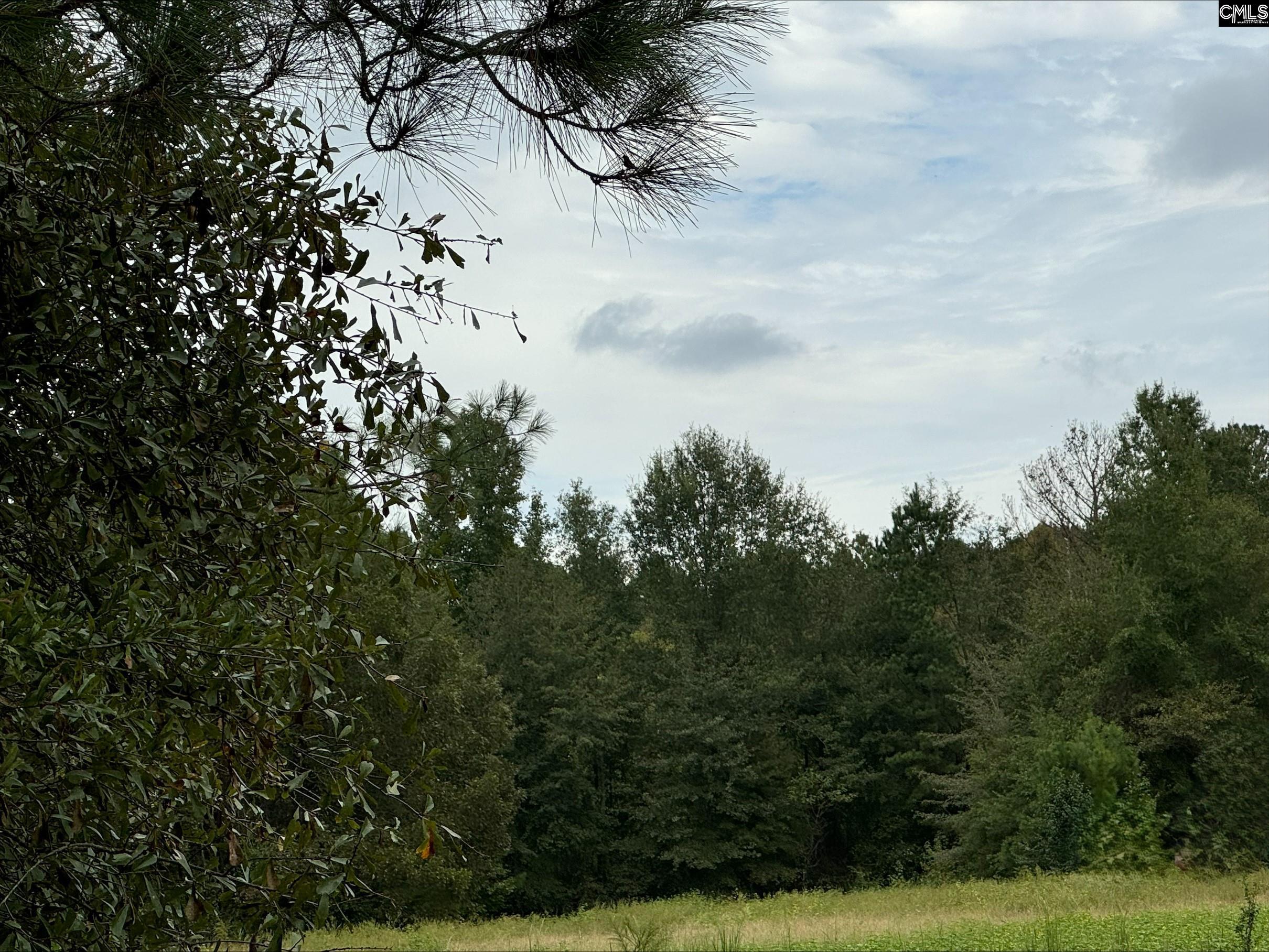 1066 Edmonds Farm Road Hopkins, SC 29061