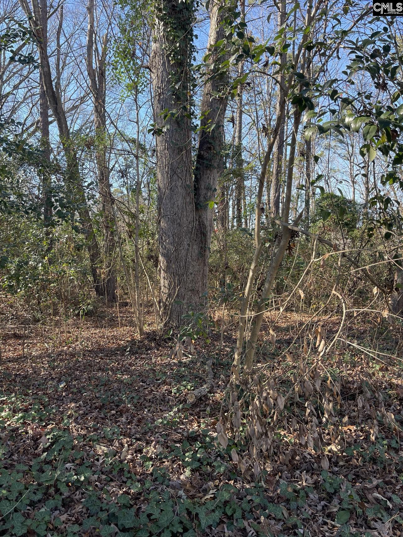 18 Crescent Lane Irmo, SC 29212
