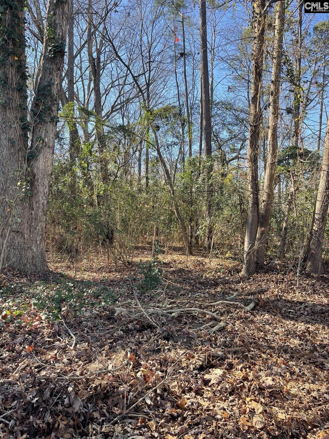 18 Crescent Lane Irmo, SC 29212
