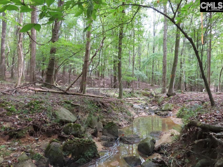 Starnes Road, Chesterfield, South Carolina image 1